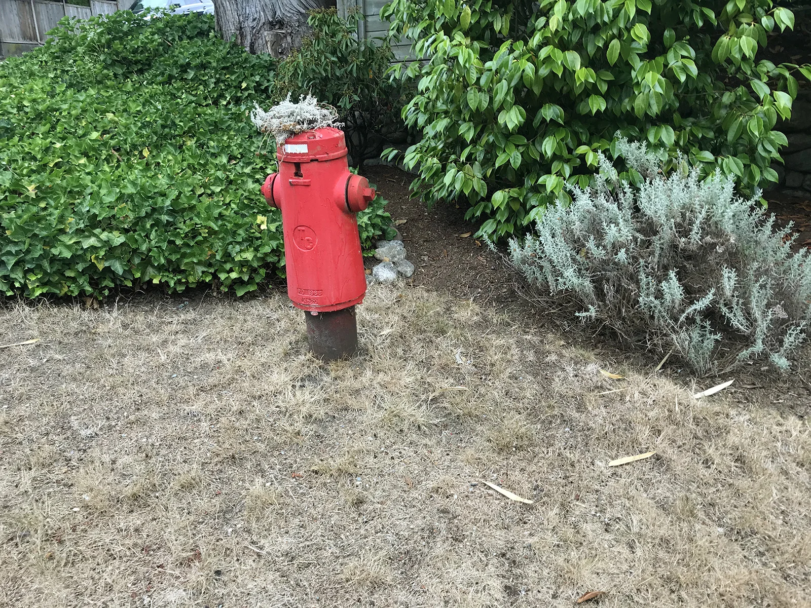 Fire hydrant