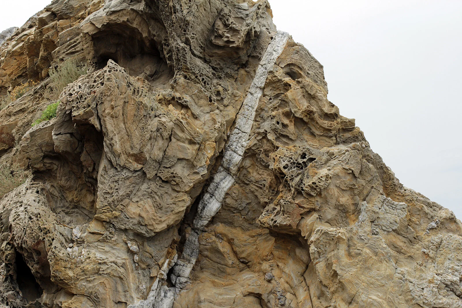 White stripe in rock, Canada 2015 © Tanya Clarke