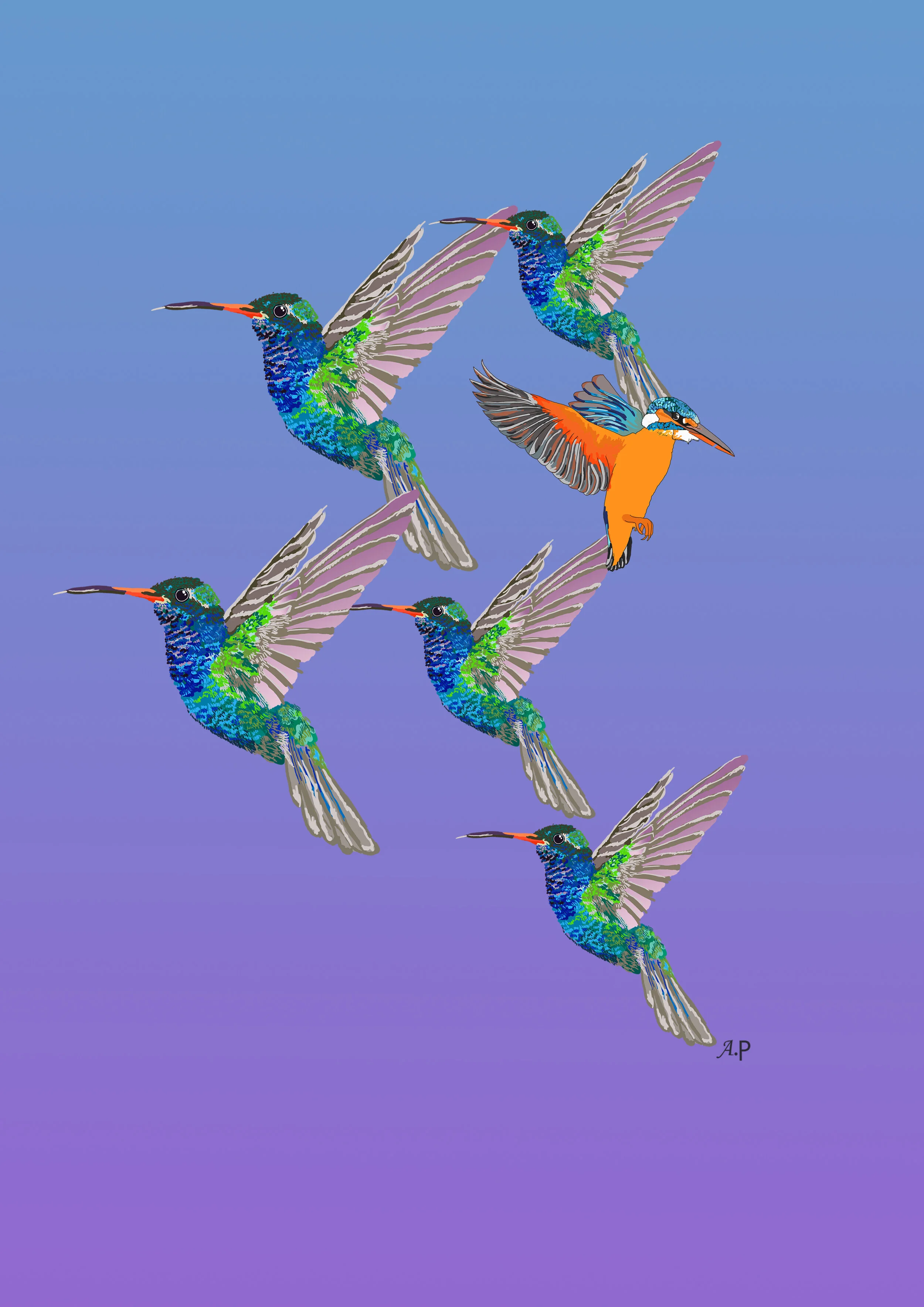 Humming Bird.jpg