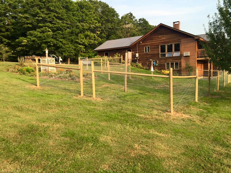 Welded Wire Dog Fence