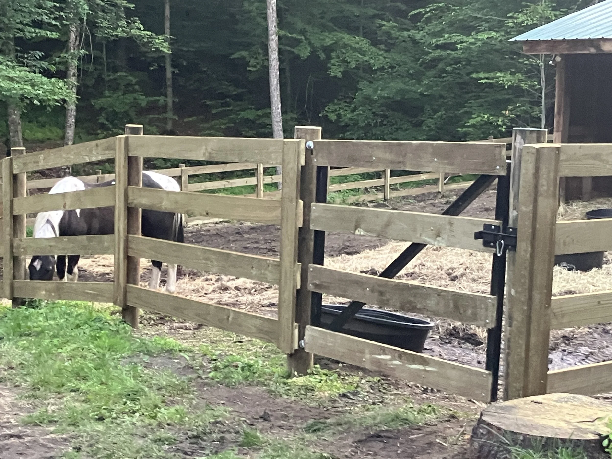 steel frame gate