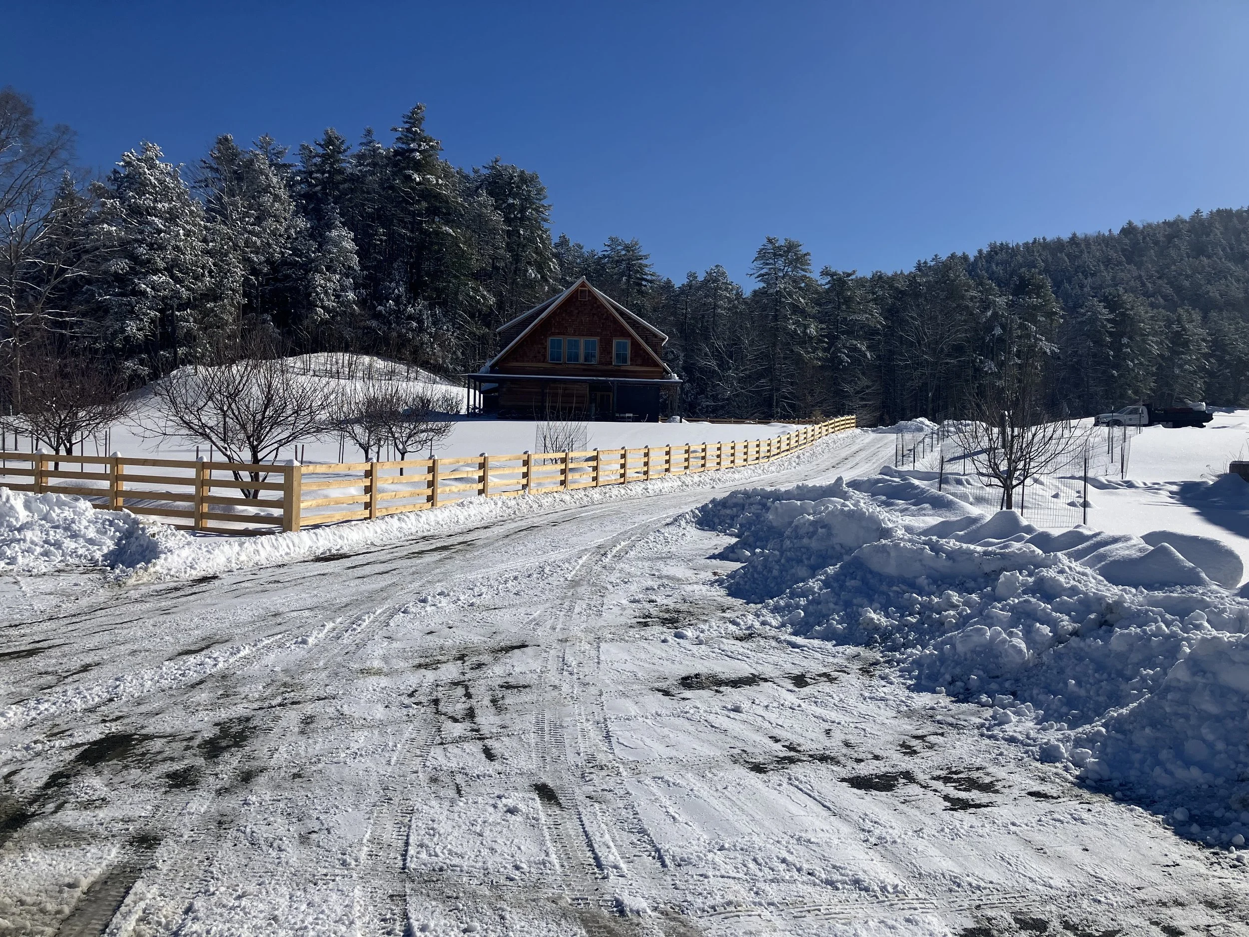 Snow-covered road leading to a house in a winter landscape, with snow piled on the sides, trees covered in snow, and a clear blue sky.