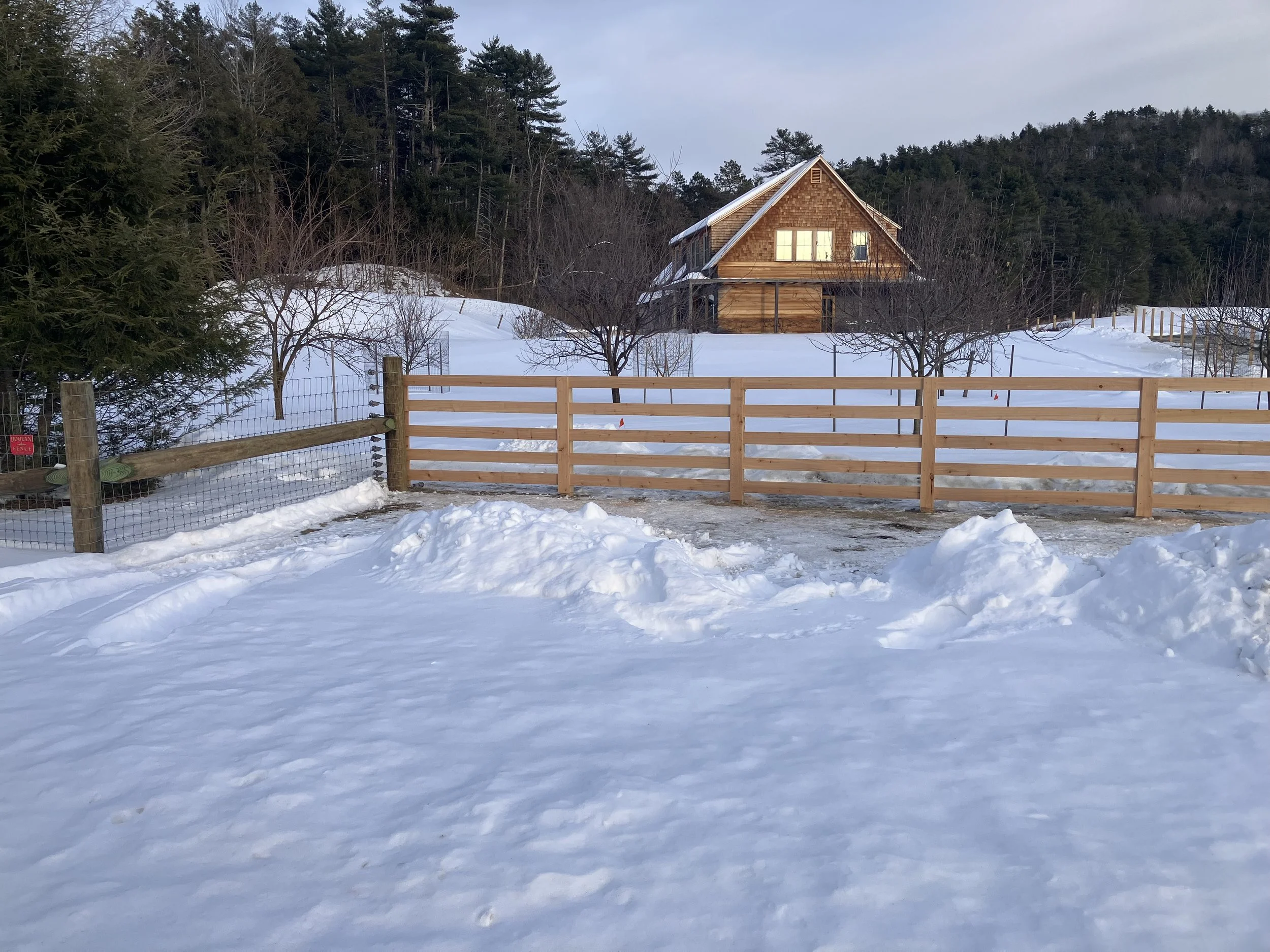 Snow-covered outdoor scene with a wooden house on a hillside, surrounded by trees and a wooden fence.