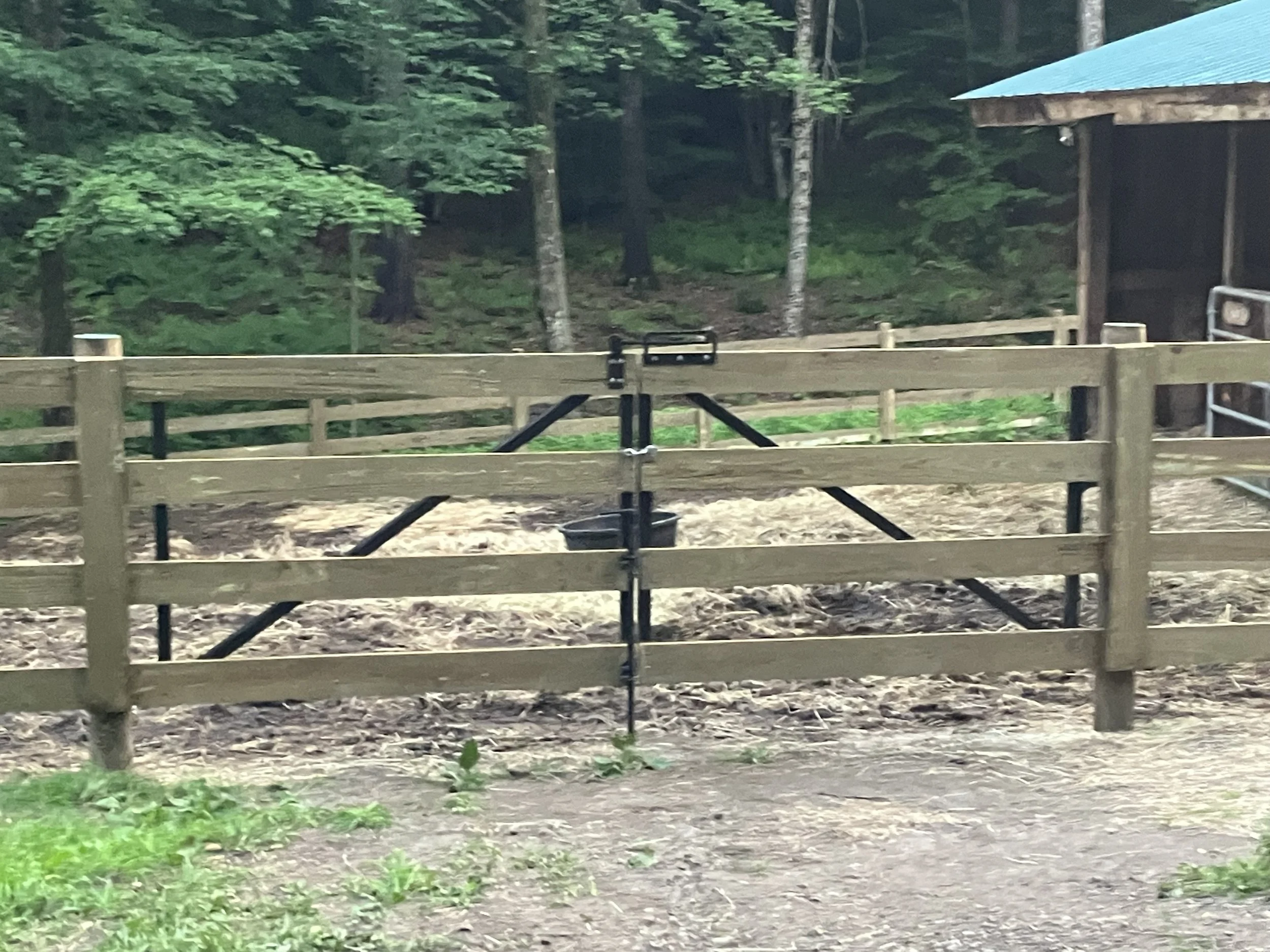 steel frame gate