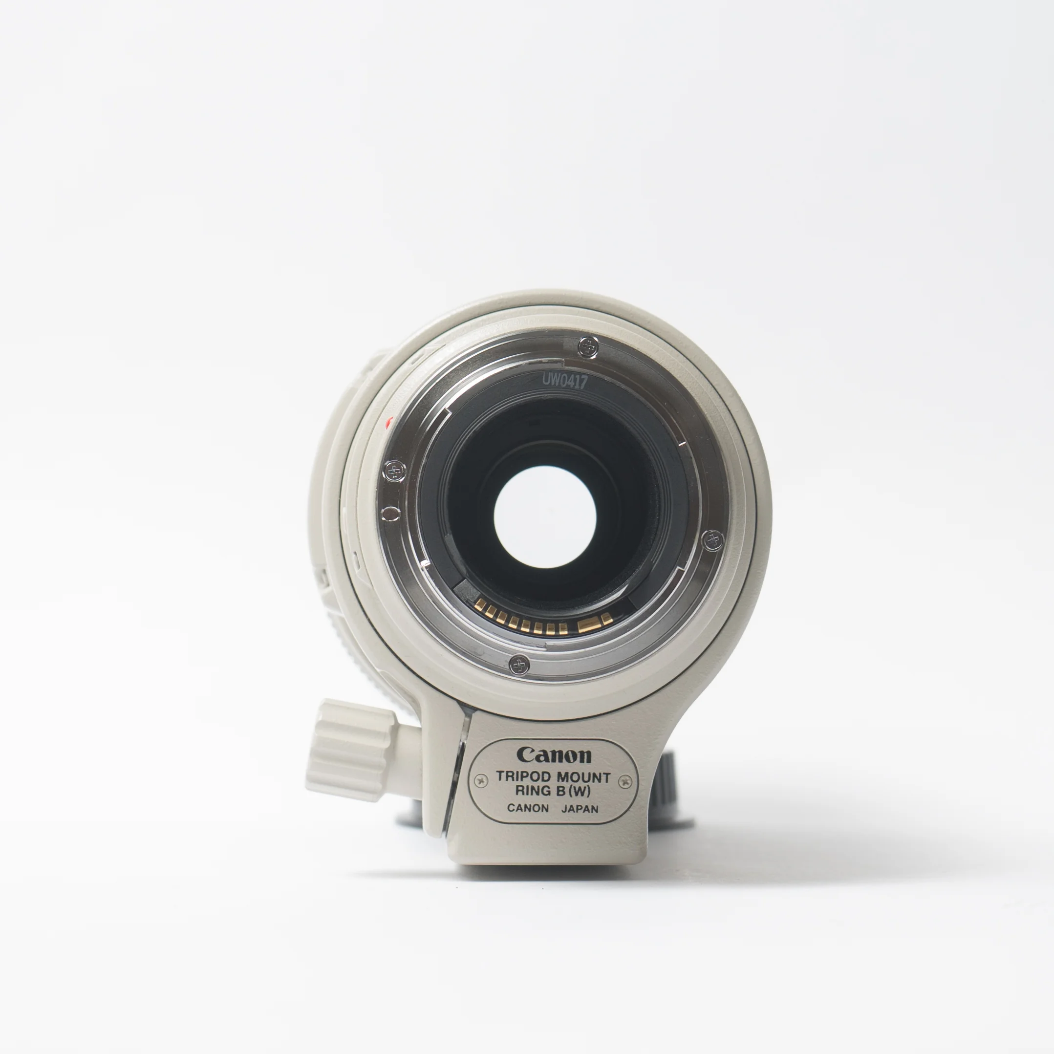 Canon EF 100-400mm f/4.5-5.6L IS USM Lens Pixity