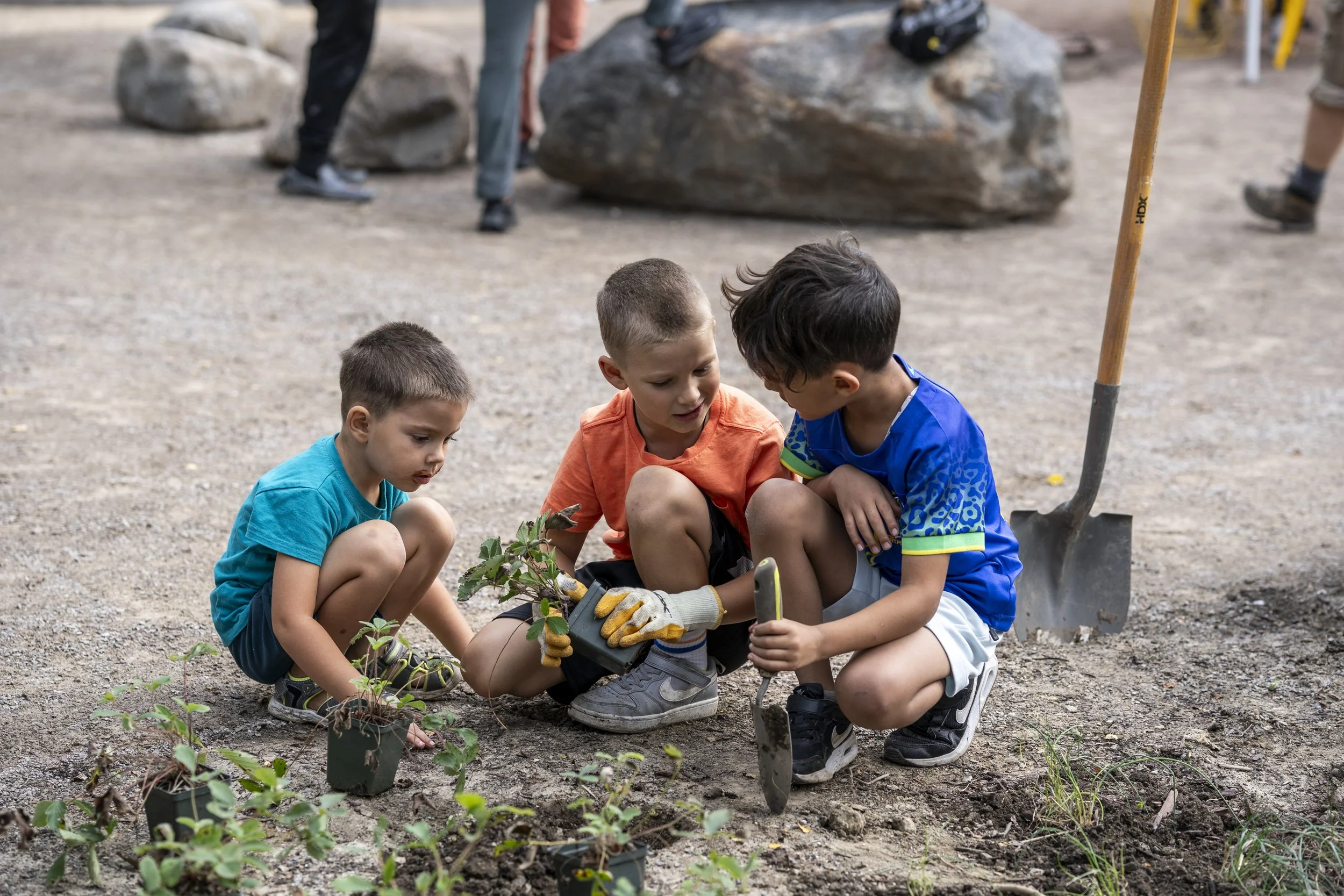 Planting Our New Park