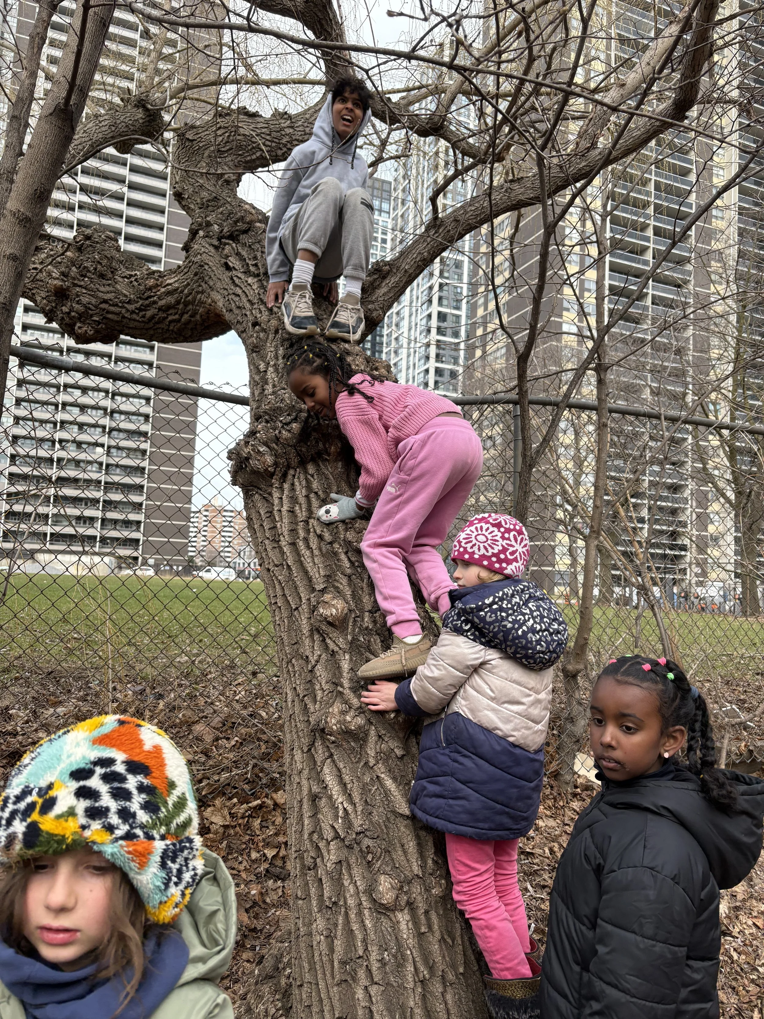 The Kids Climb a Tree
