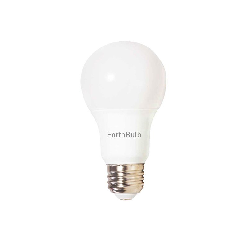 LED 19 Earth Bulb - $4.99