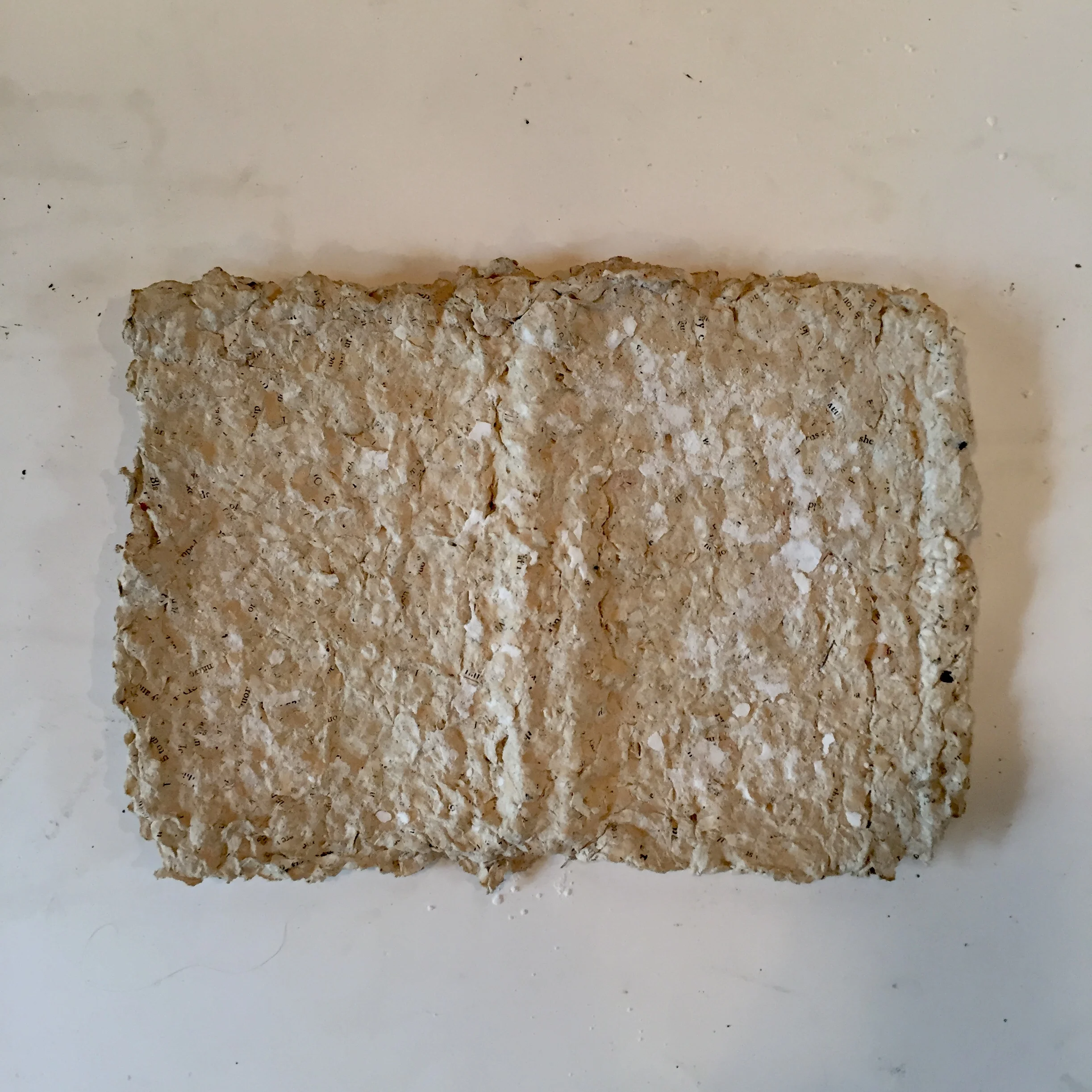 that book you loved that I could never read 2018. Bookcover wrapped in handmade paper made from the shredded pages.