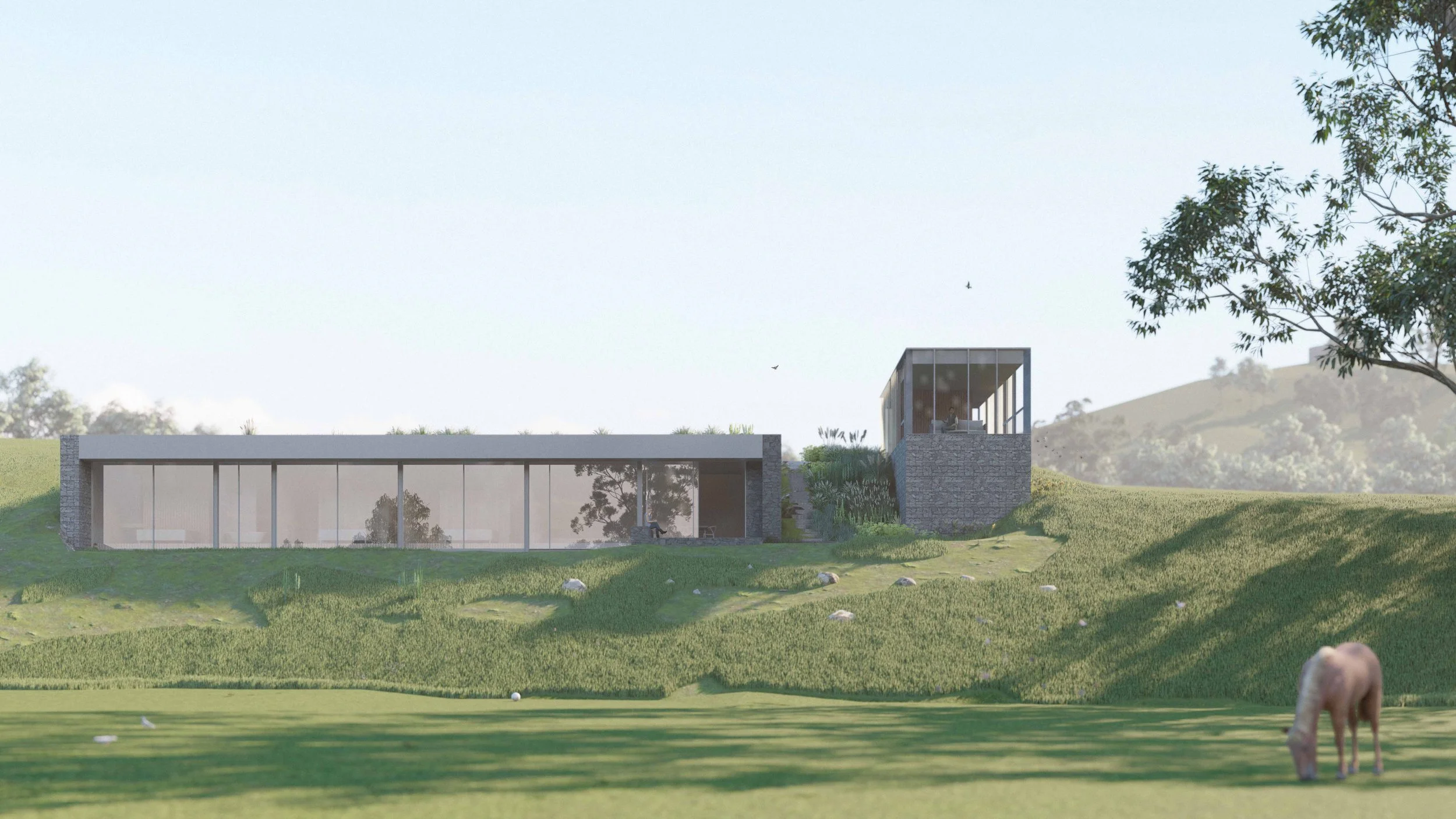 221111_TALLAROOK_ACCOMODATION_2_PERSPECTIVE 2_FINAL reduce.jpg