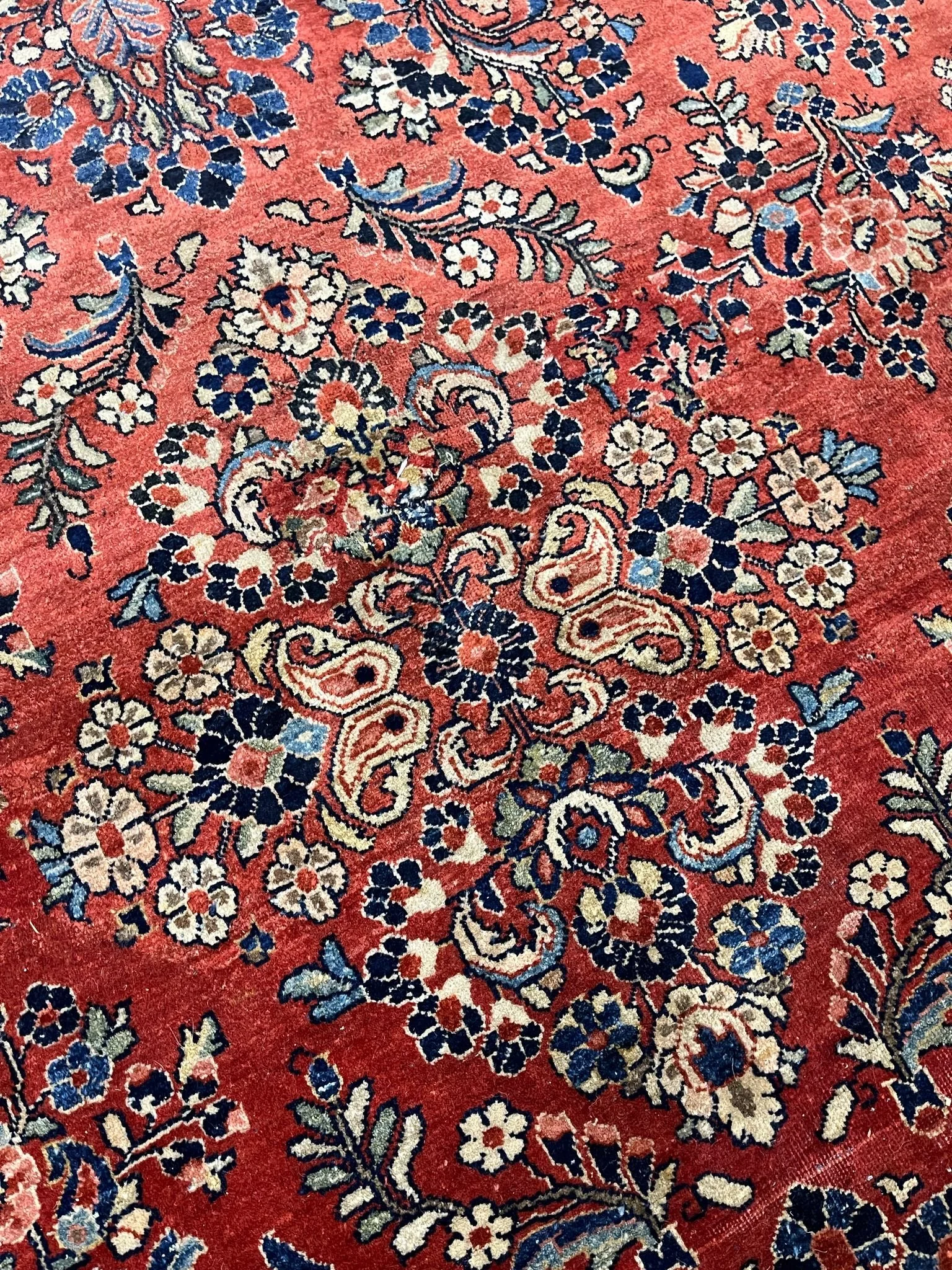 9121ec08-00d6-4cab-b95d-8c4bba4f0e9d 2.JPG