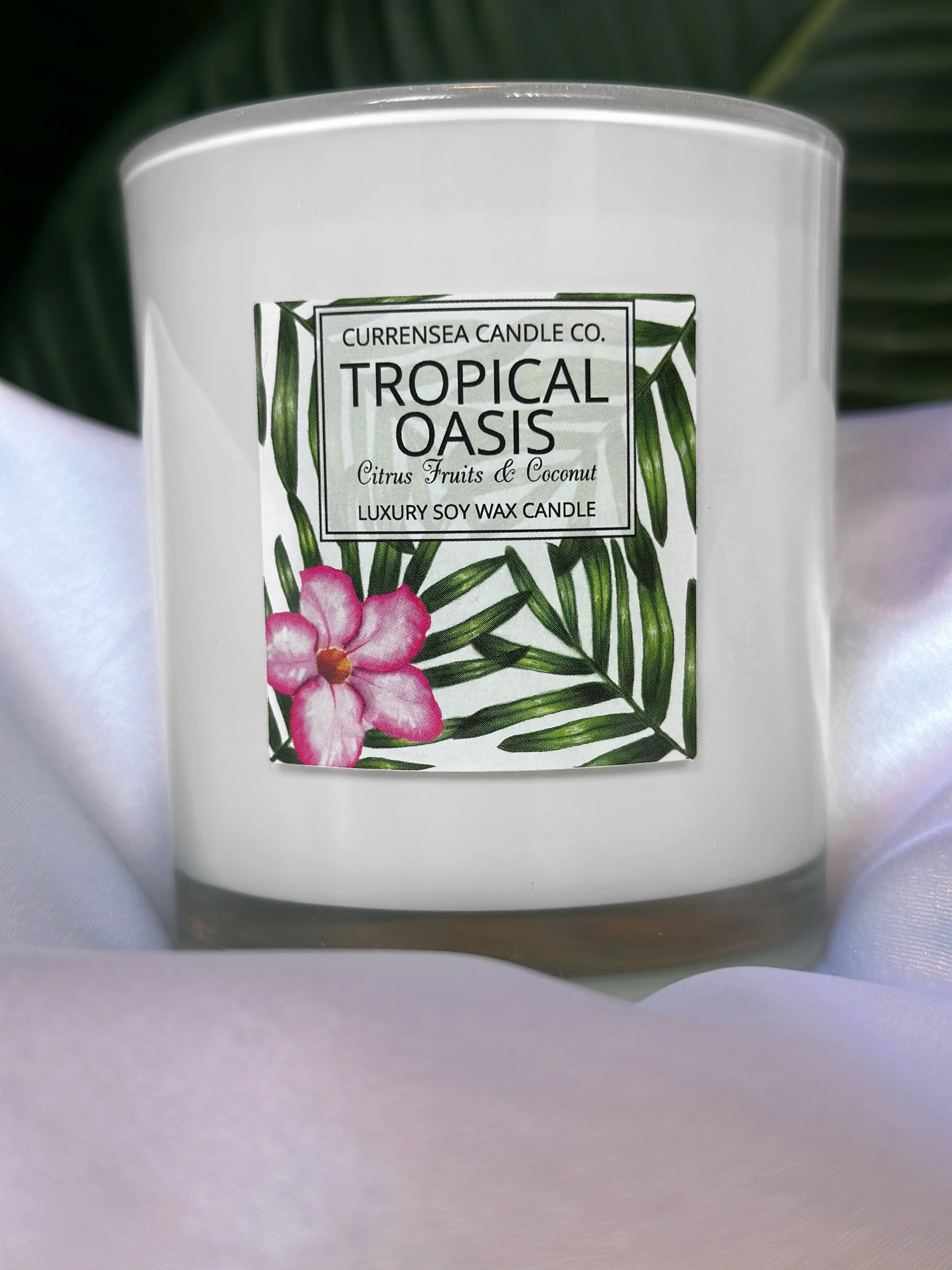 Tropical Oasis.JPG