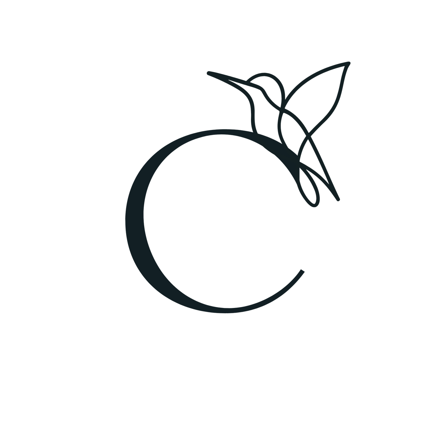| Creative Impact Consulting