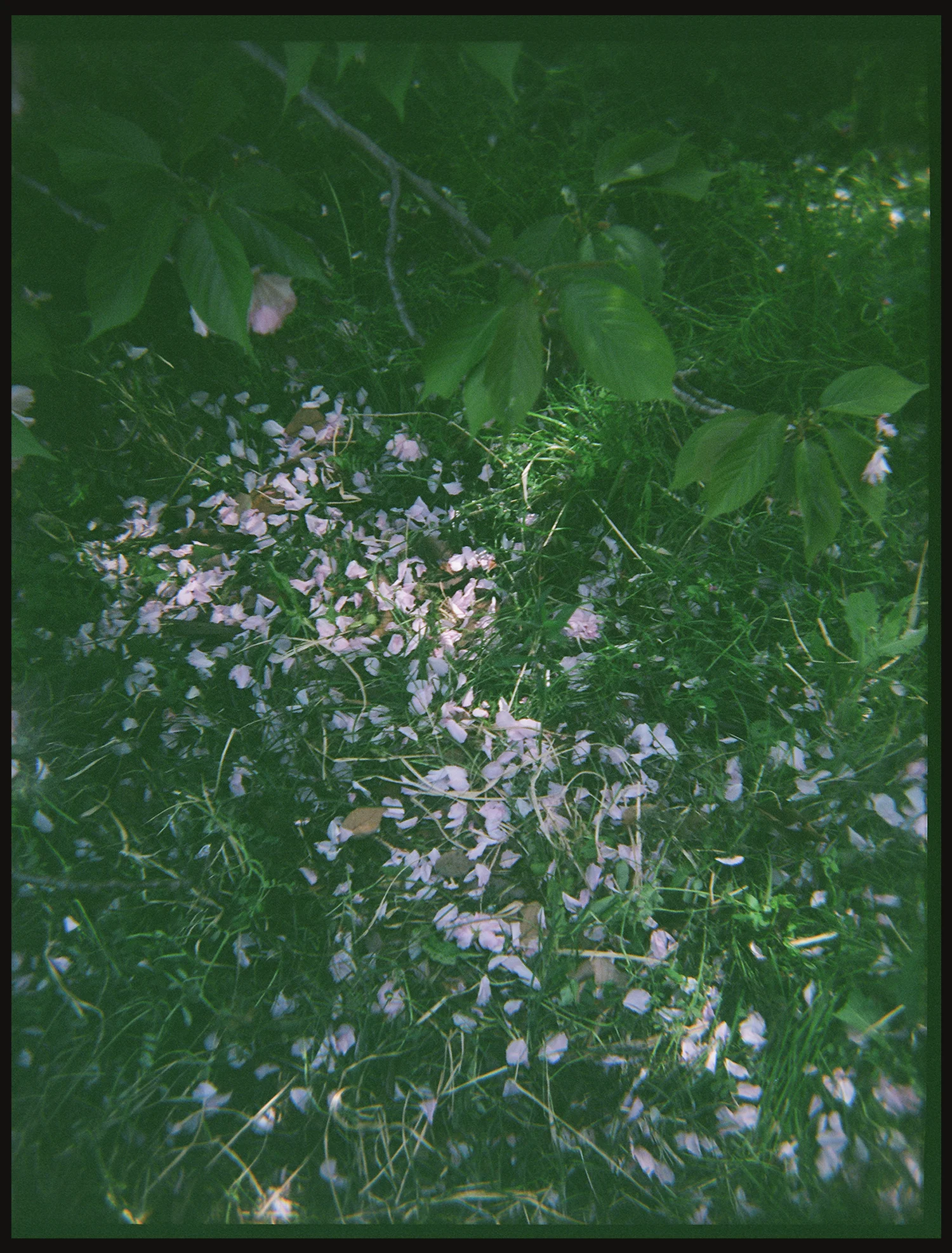 01010002.jpg
