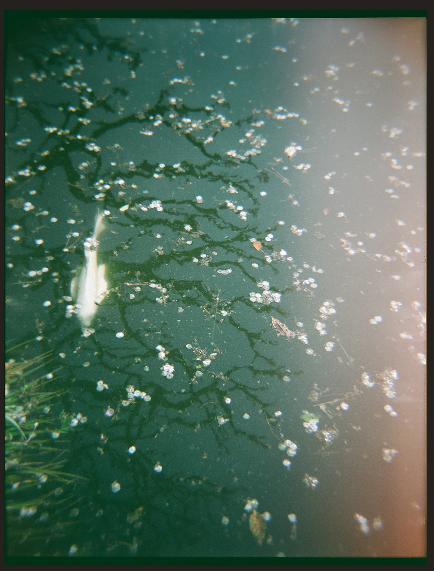 01010014.jpg