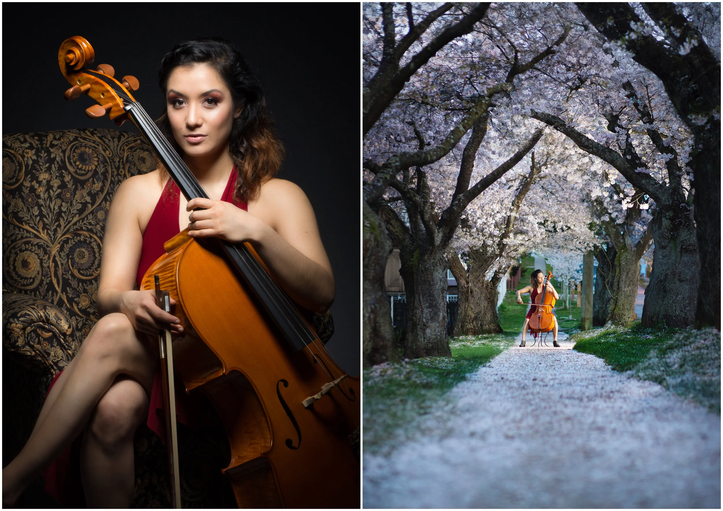 Cello player enviromental studio portrait.jpeg