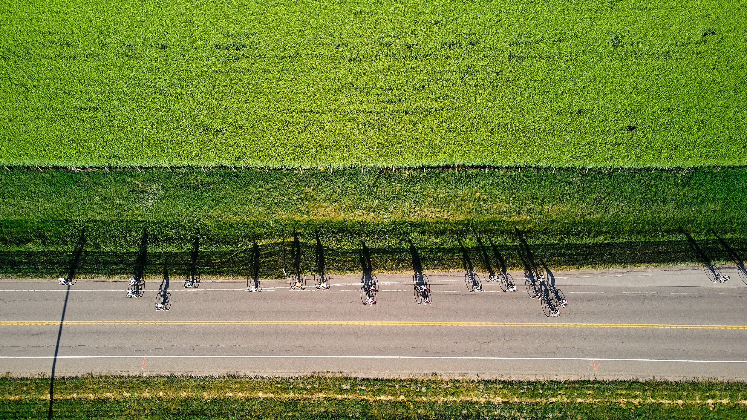 vancouver-aerial-photographer-michal-urbanek-0578.jpg