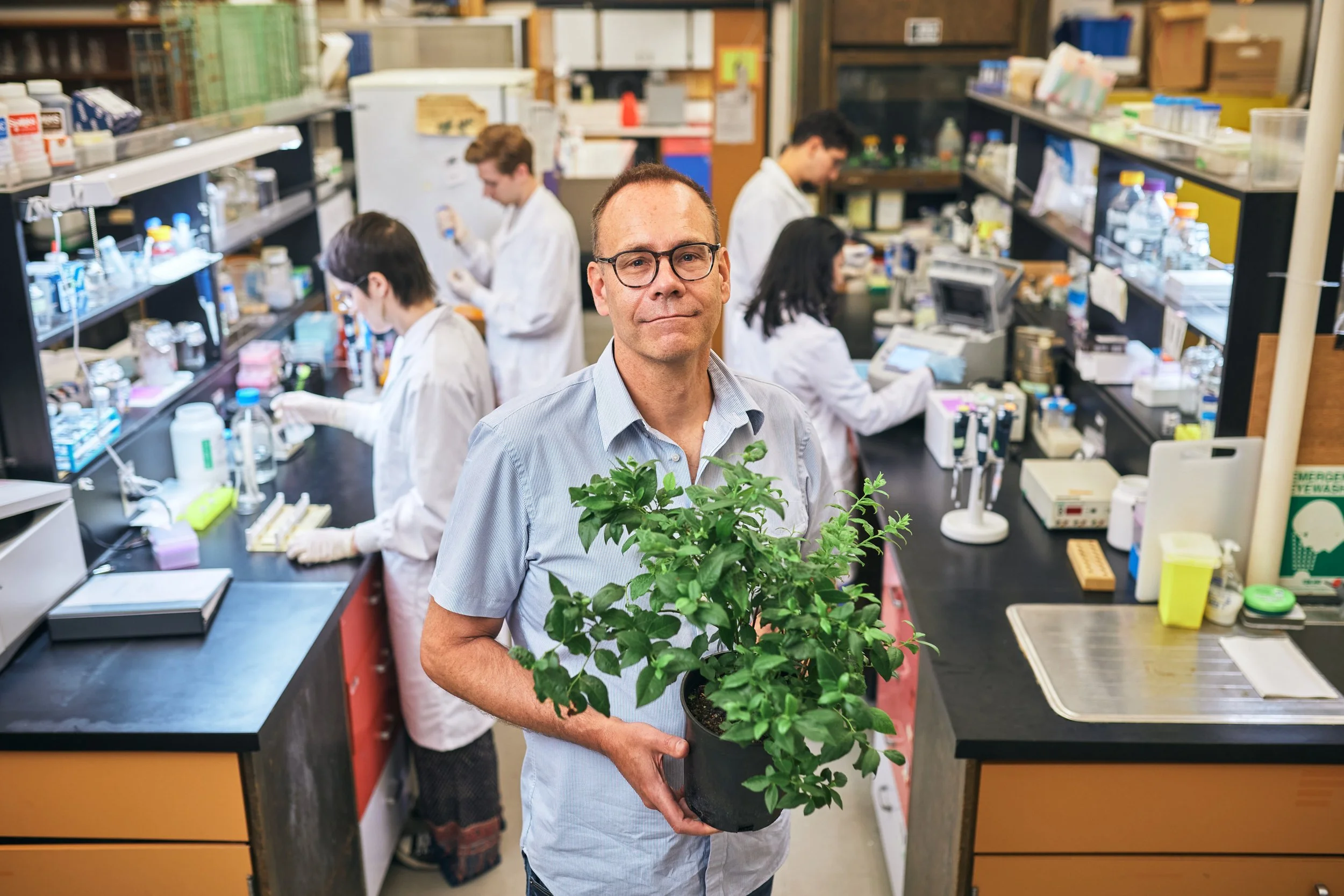 Homegrown innovation Challenge Dr. Jim Mattsson at his lab with a blueberry bush and a group of scientists behind him working