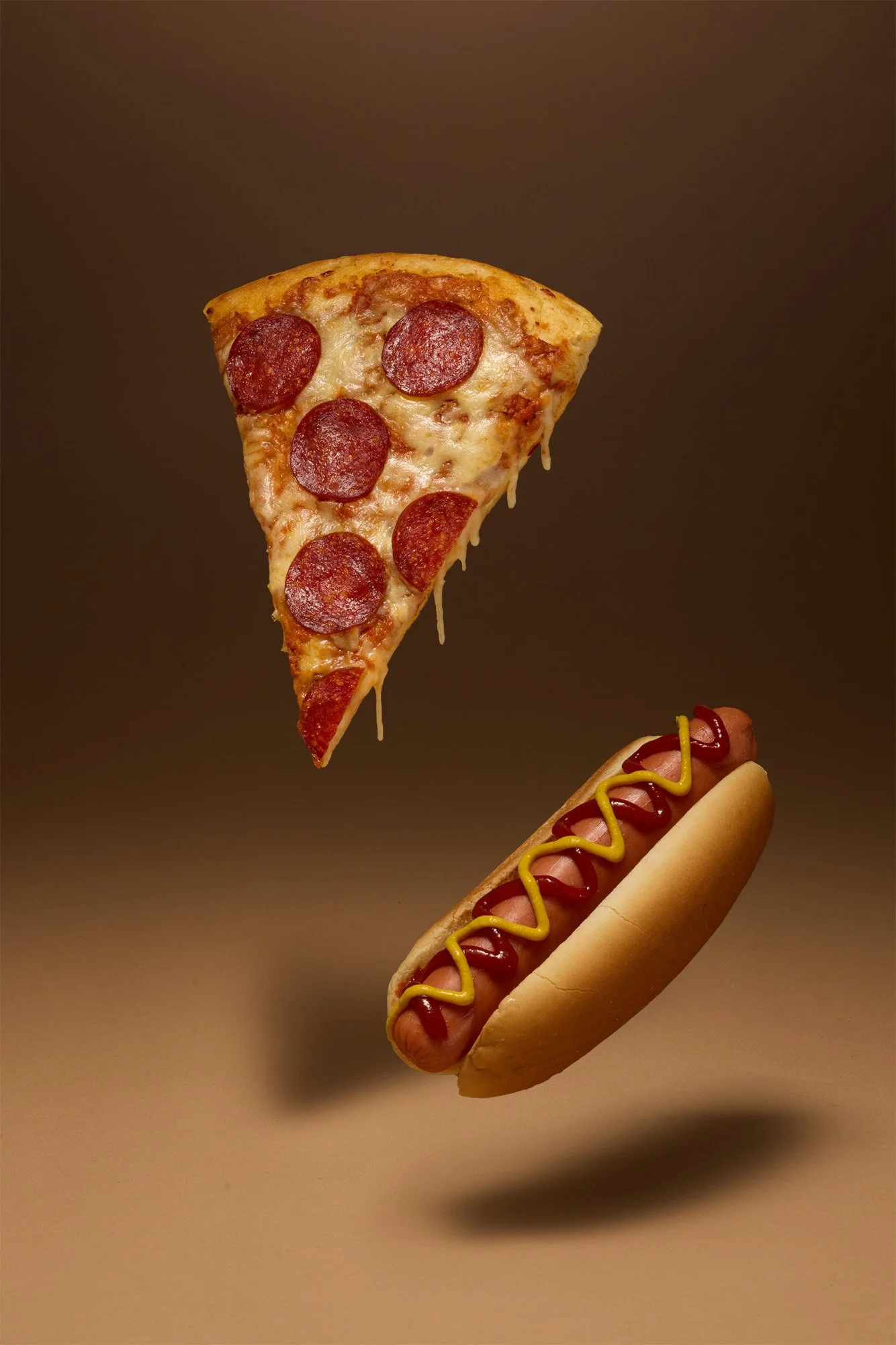 za+dog comp copy.jpg