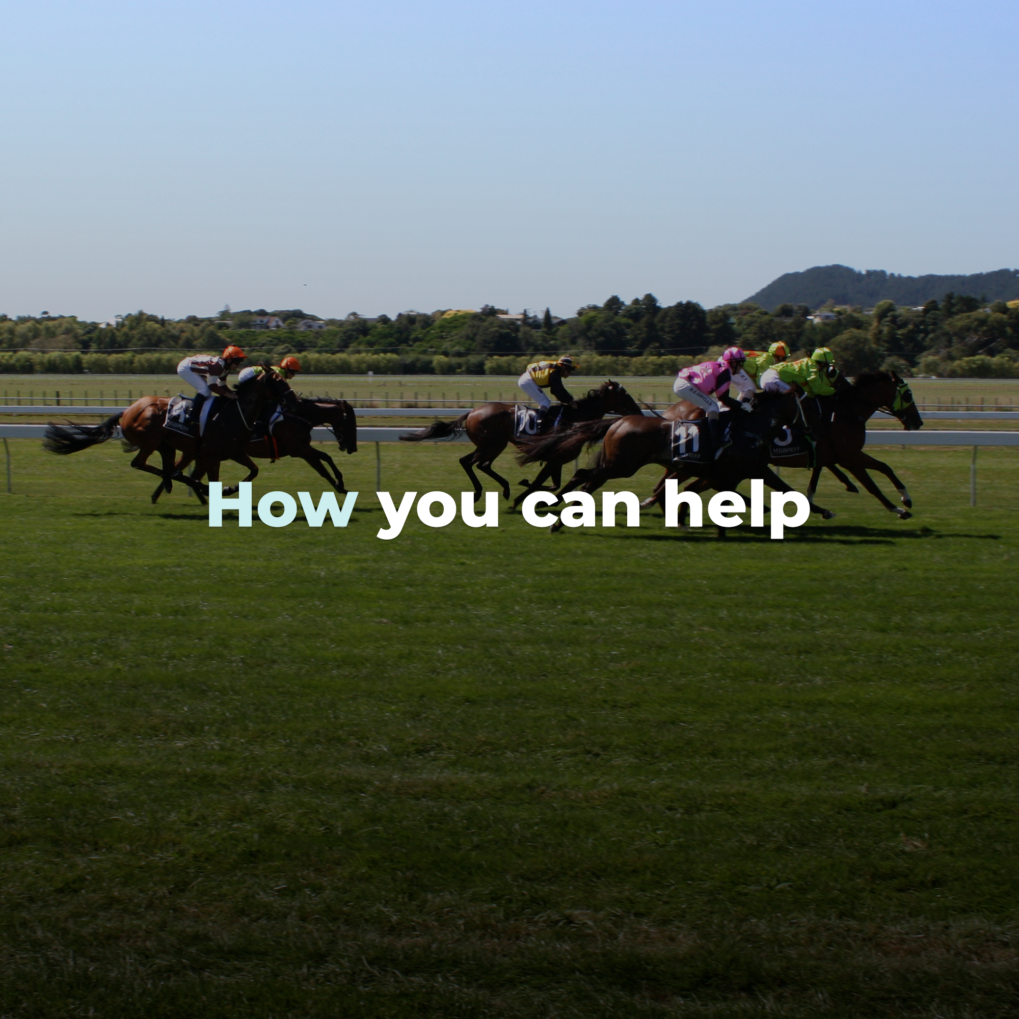 How can you help.png