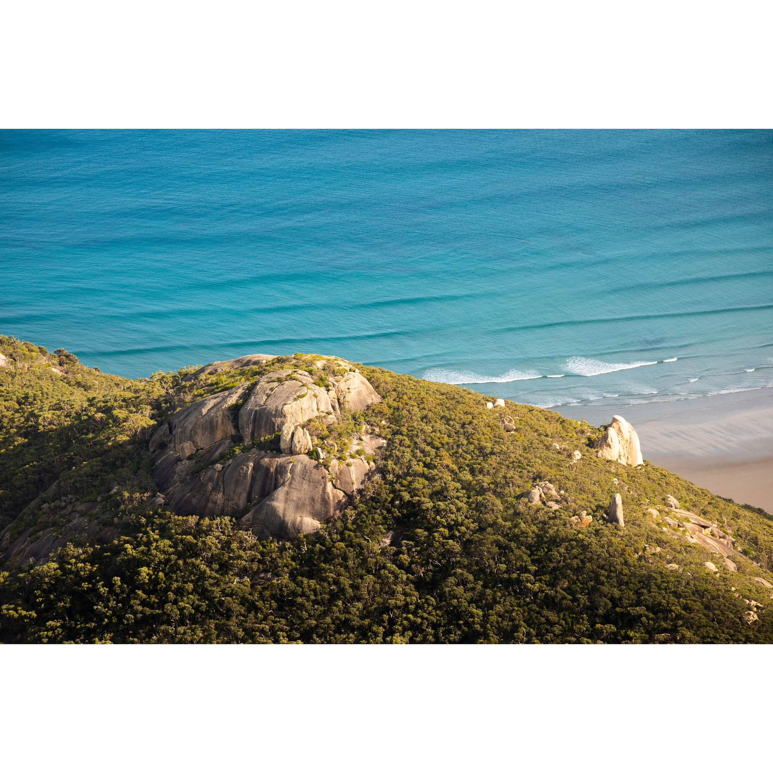 WilsonsProm2207_06_WEB.jpg