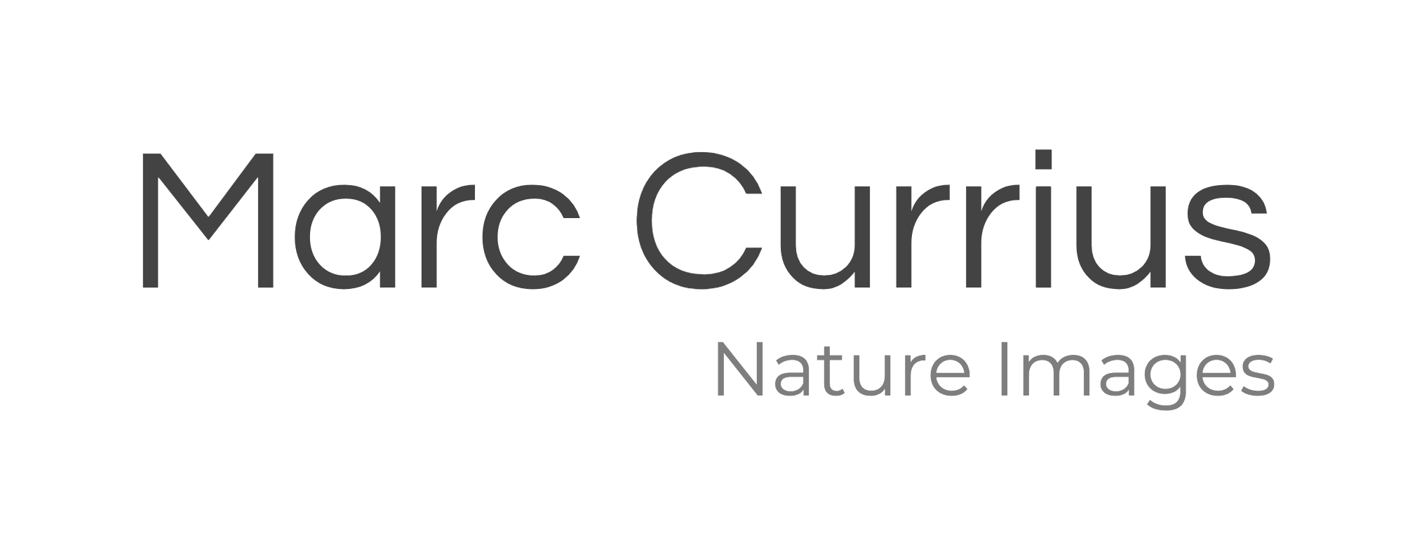 Marc Currius