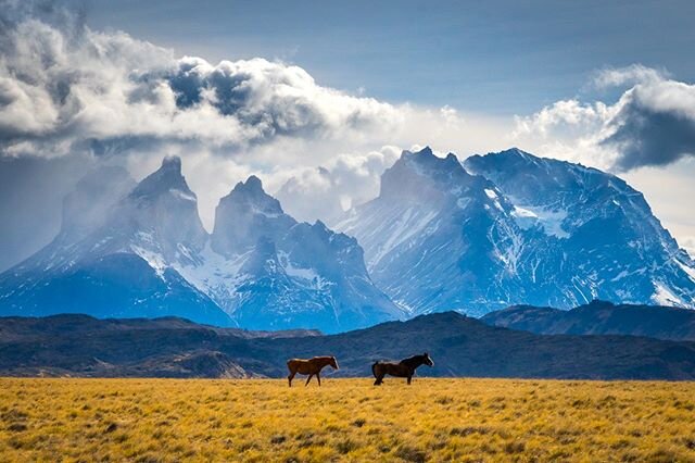 Libertad.

En el sur de la Patagonia Chilena se encuentra el P.N. de las Torres del Paine, tierra de libertad, de climas extremos y de naturaleza salvaje.

Los &uacute;nicos rasgos del paso del tiempo los marca la erosi&oacute;n del paisaje, causada 