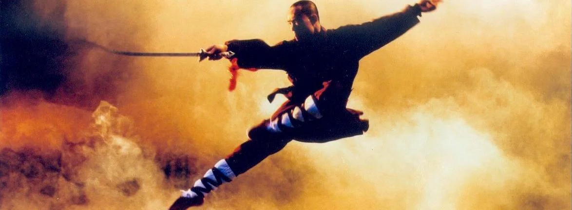 Shadows of Electric Dragons - Combat (August 2009)