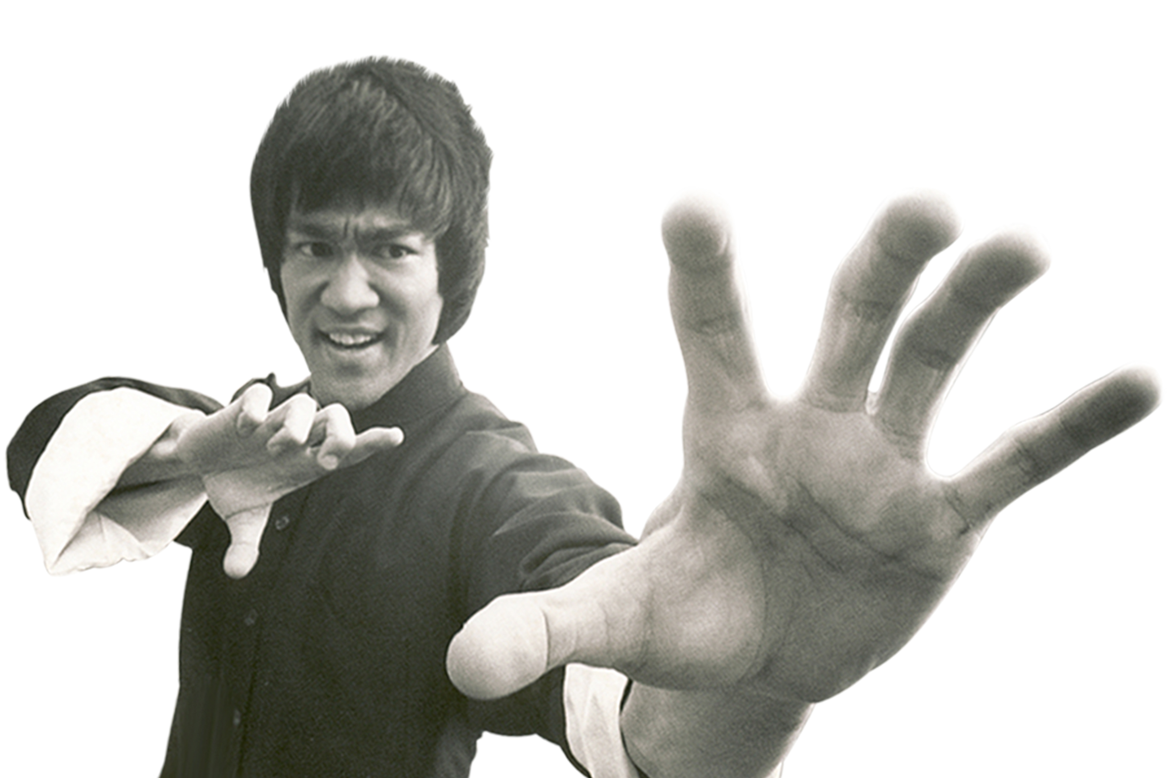 Happy Birthday Bruce Lee — Mike Fury