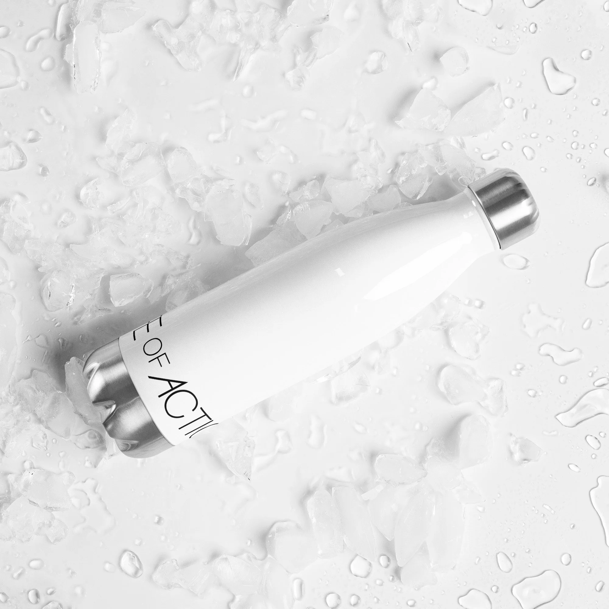 Life of Action Originals: Stainless Steel Water Bottle