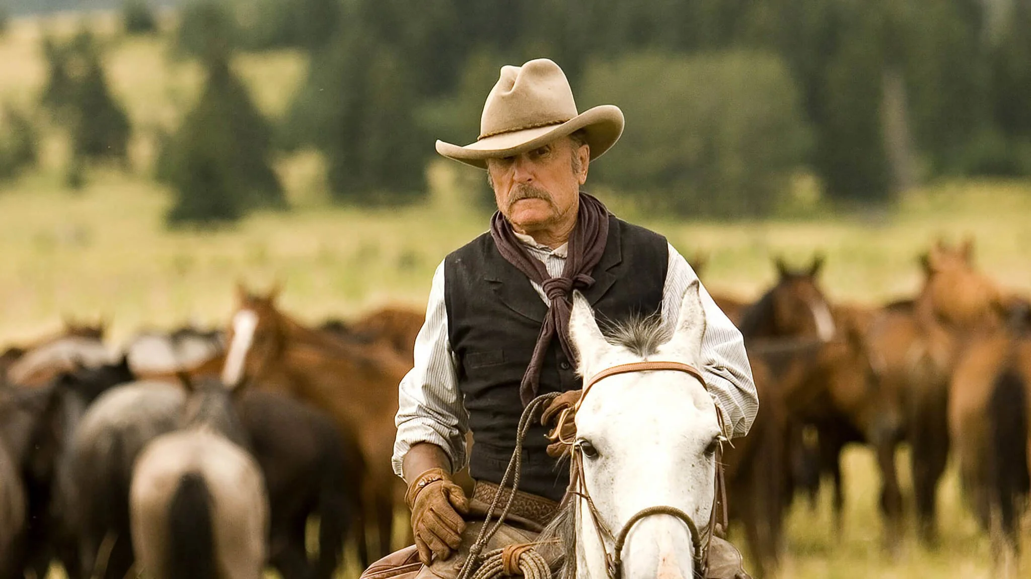 Broken Trail at 20: A Western Masterpiece