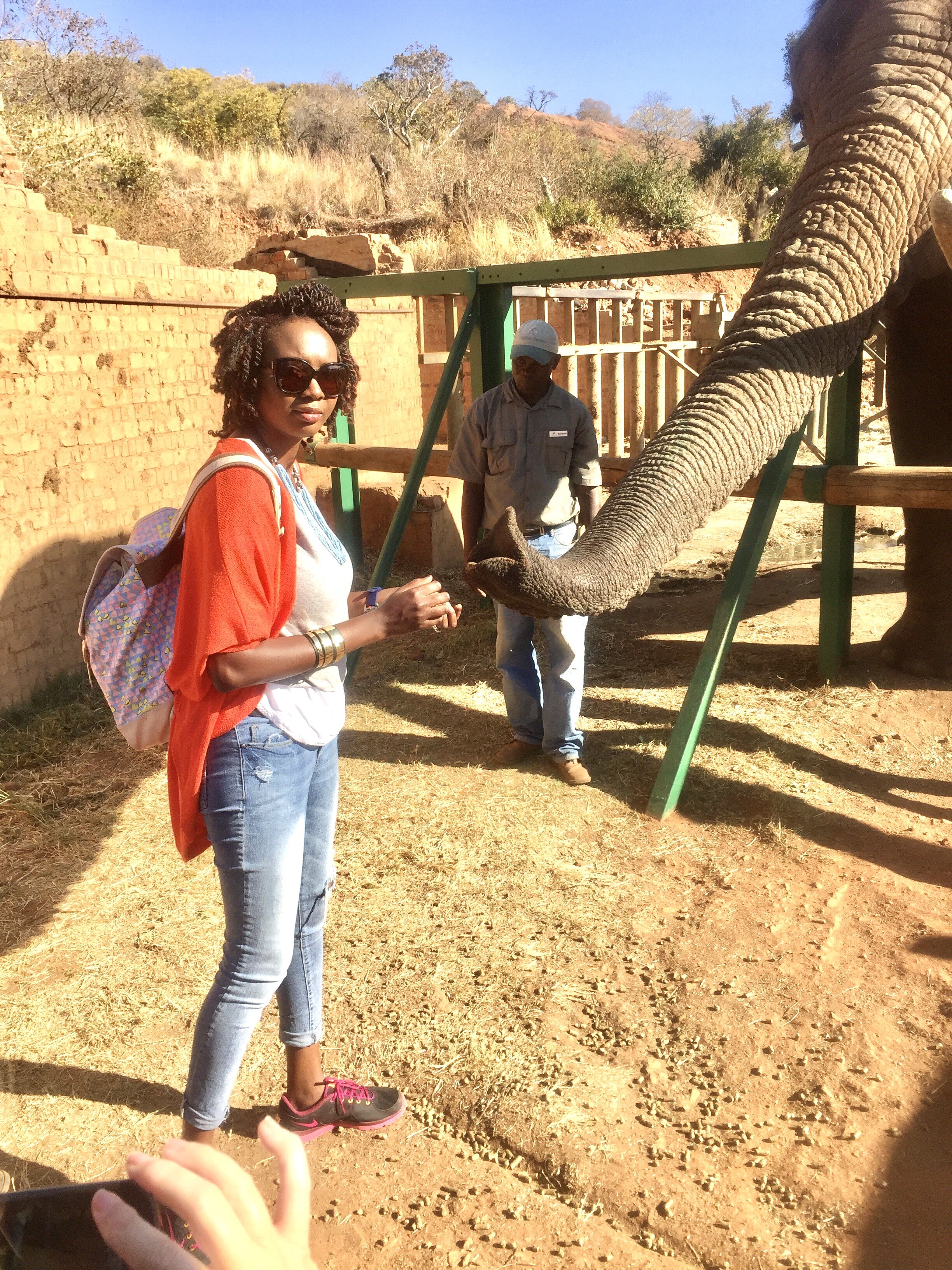 bisi feeding elephant.jpg