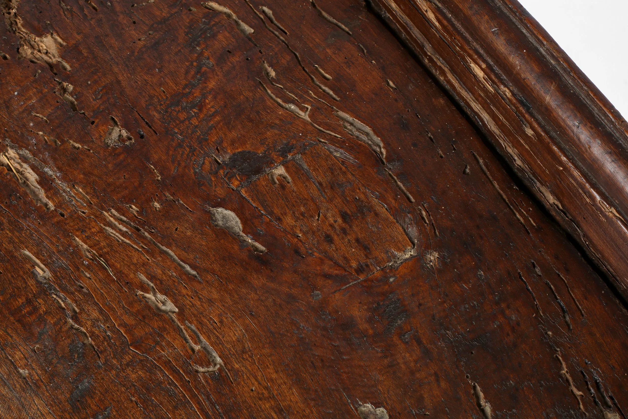 623A1104.JPG
