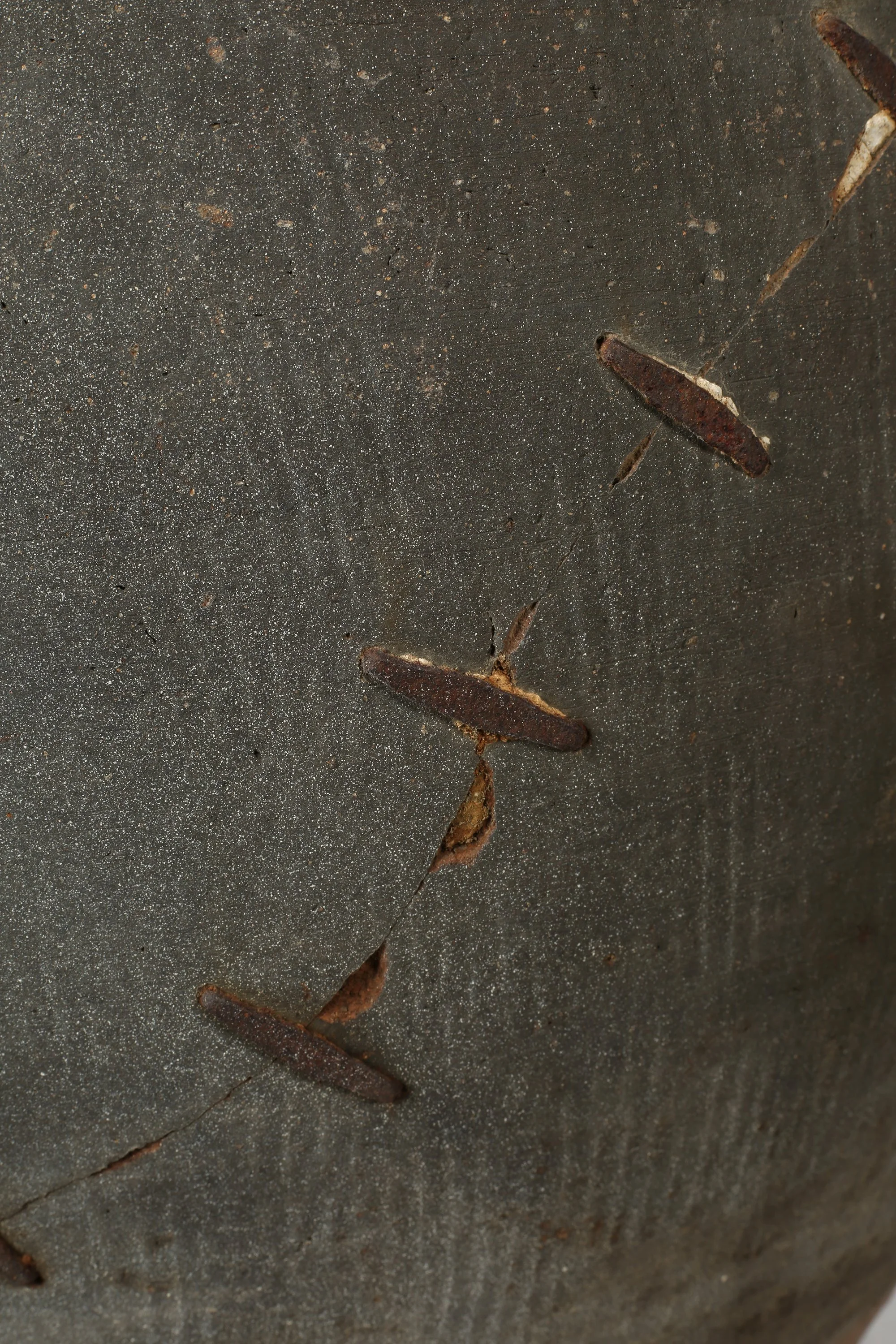 623A8924.JPG