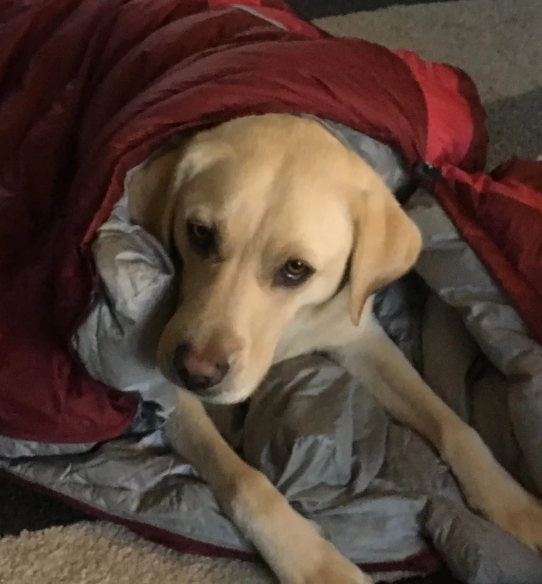 Lulu gets her first sleeping bag.