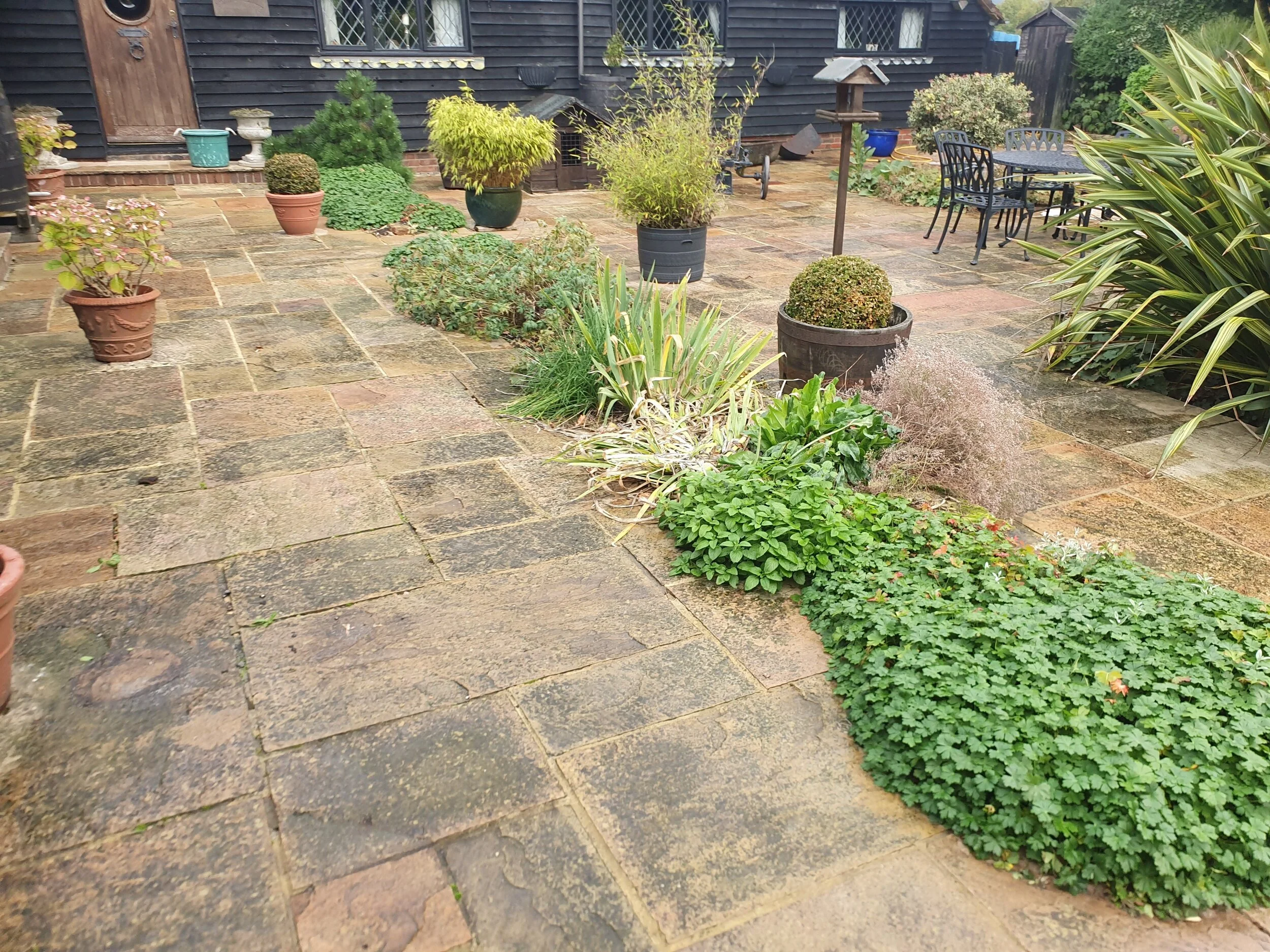 Sandstone Cleaning Specialist Stone Cleaning In Crawley Horsham