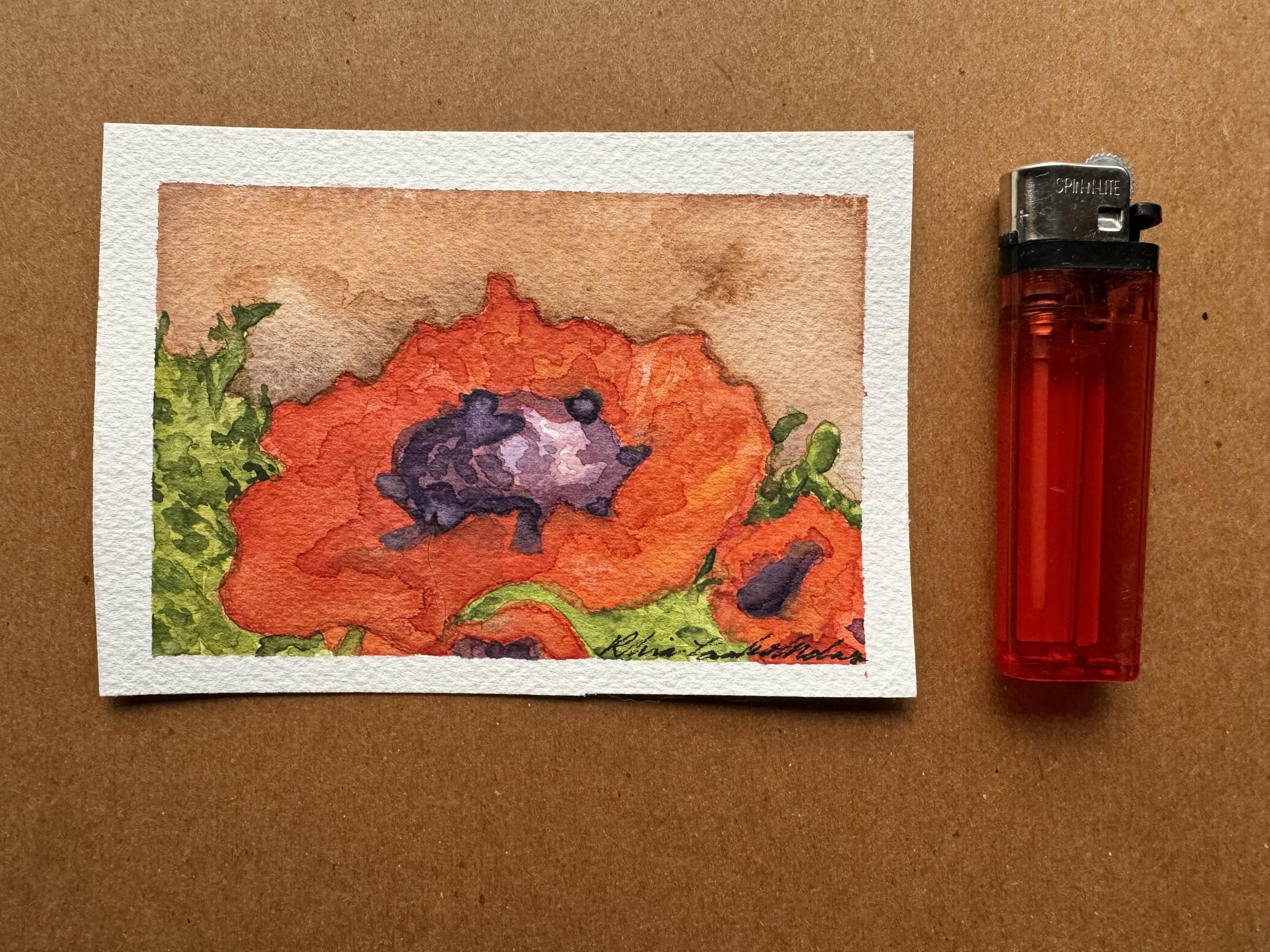 Red Poppy, 2024 ($30)