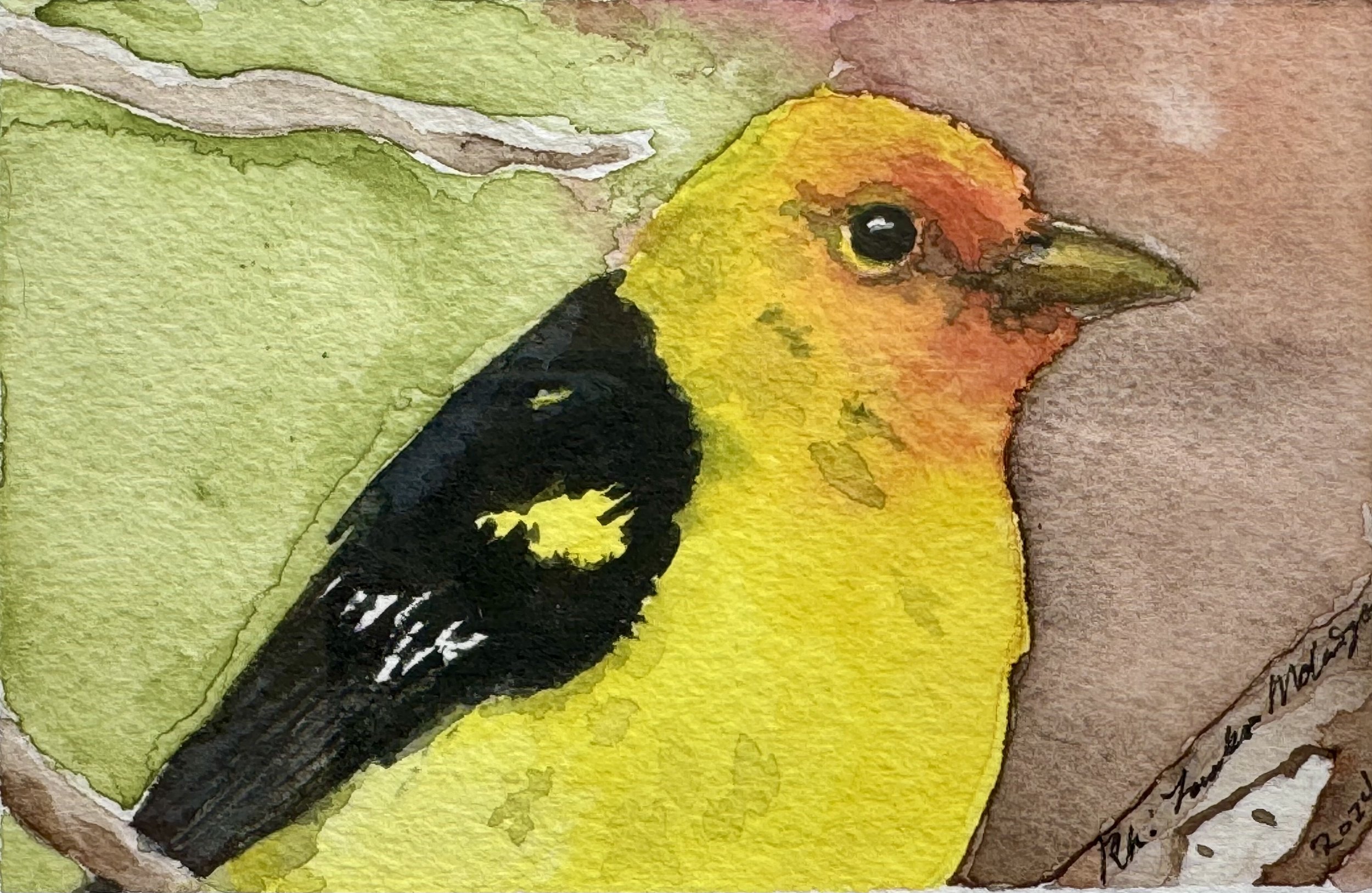 Western Tanager, 2024 (SOLD)