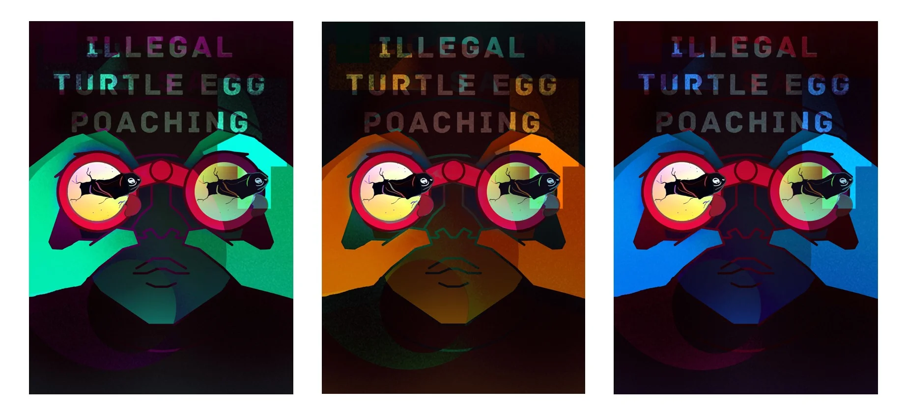 color variations.jpg