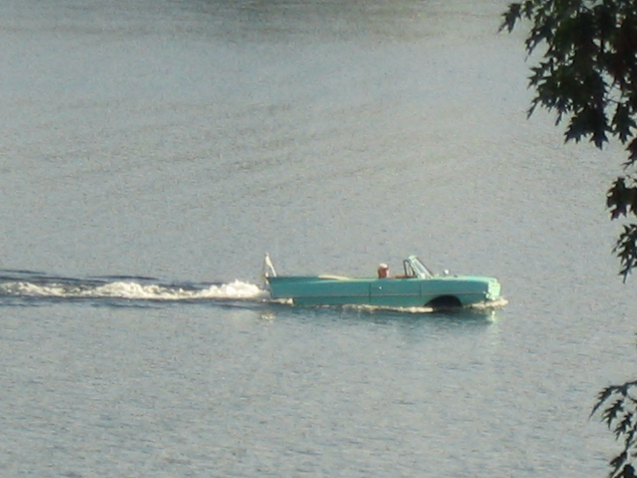 carboat.jpg