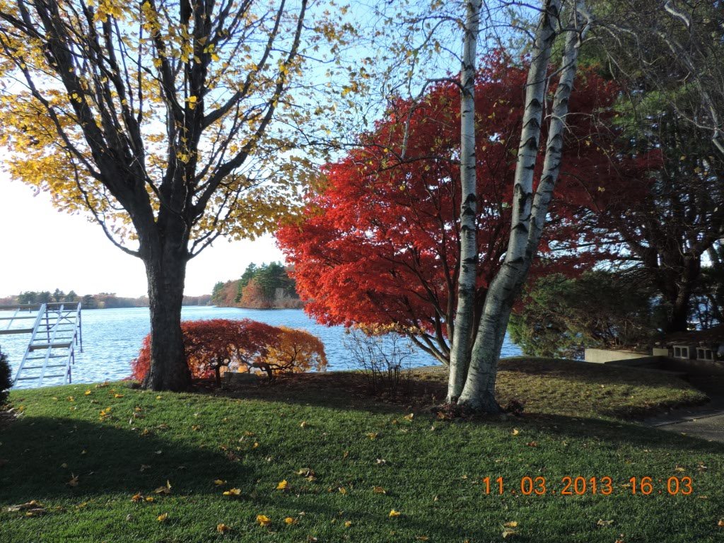 FallOnTheLake.2013.11.03.GR.jpg