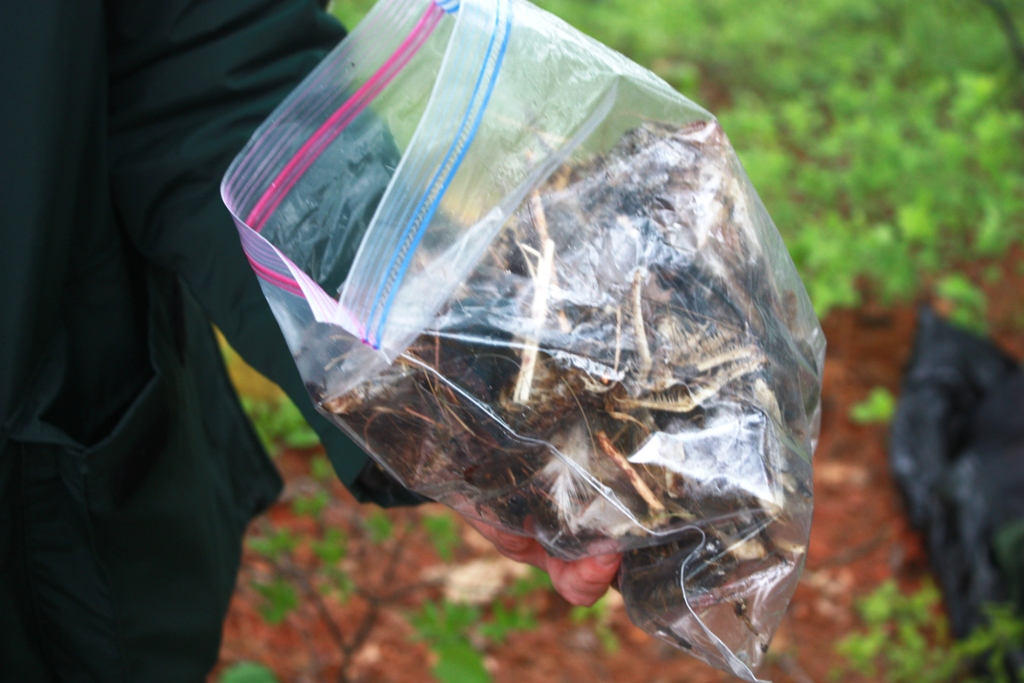 B1.EagleFoodDiscards.2014.05.28.jpg