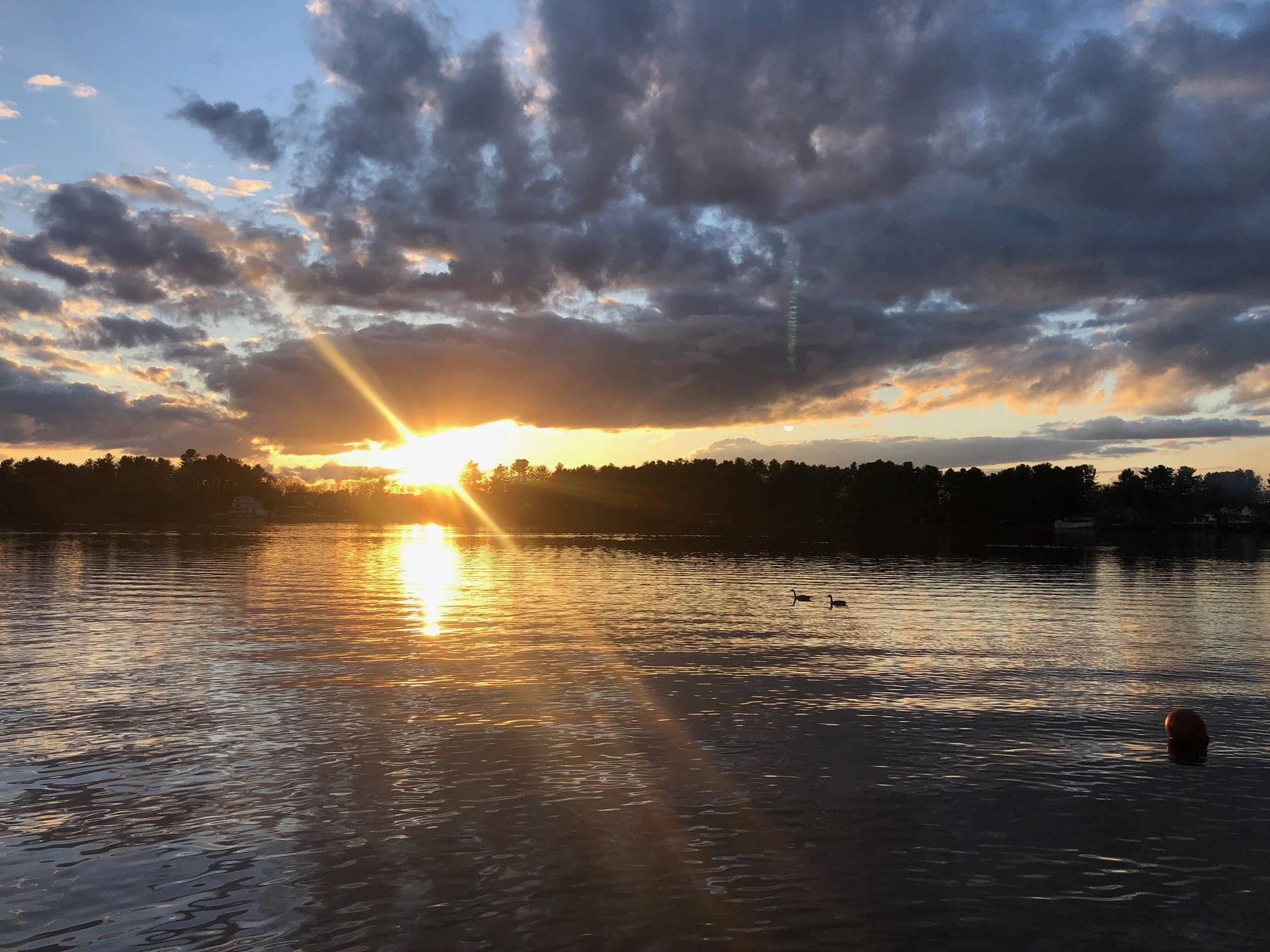 ster Lake Association