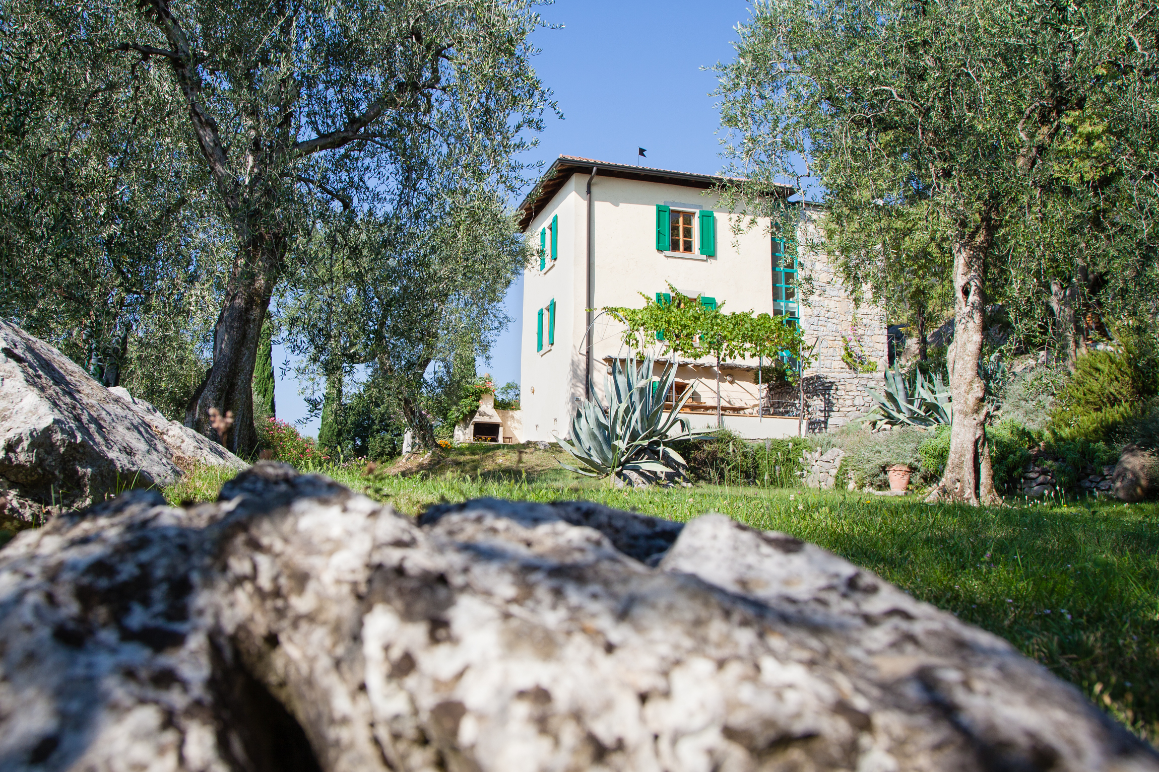_MG_5160 (1).jpg