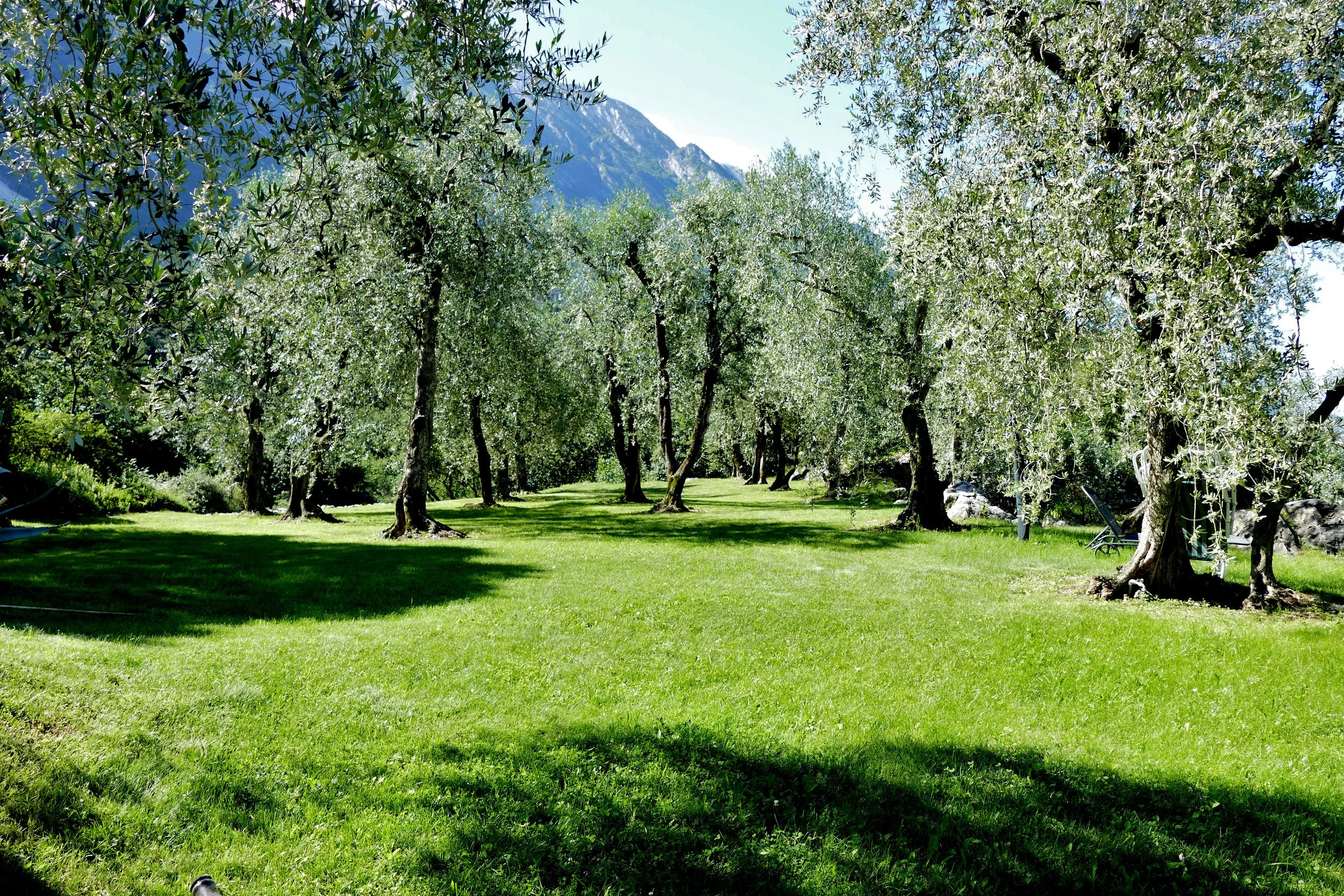 Gardasee 14.06.16 260.JPG