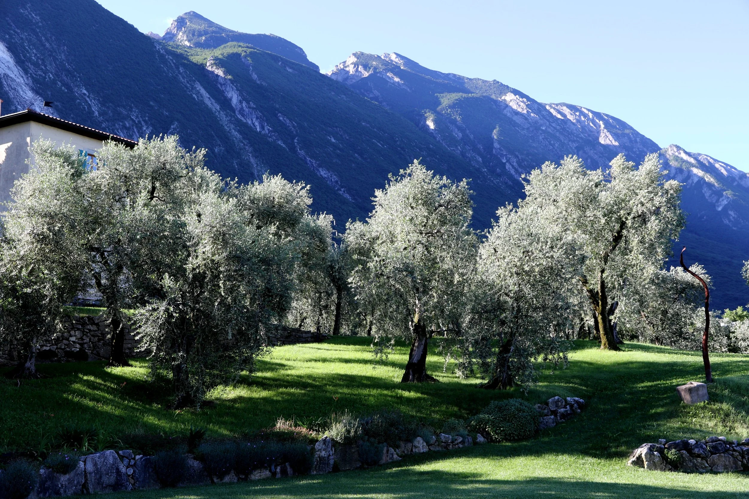 Gardasee 17.06.16 039.JPG