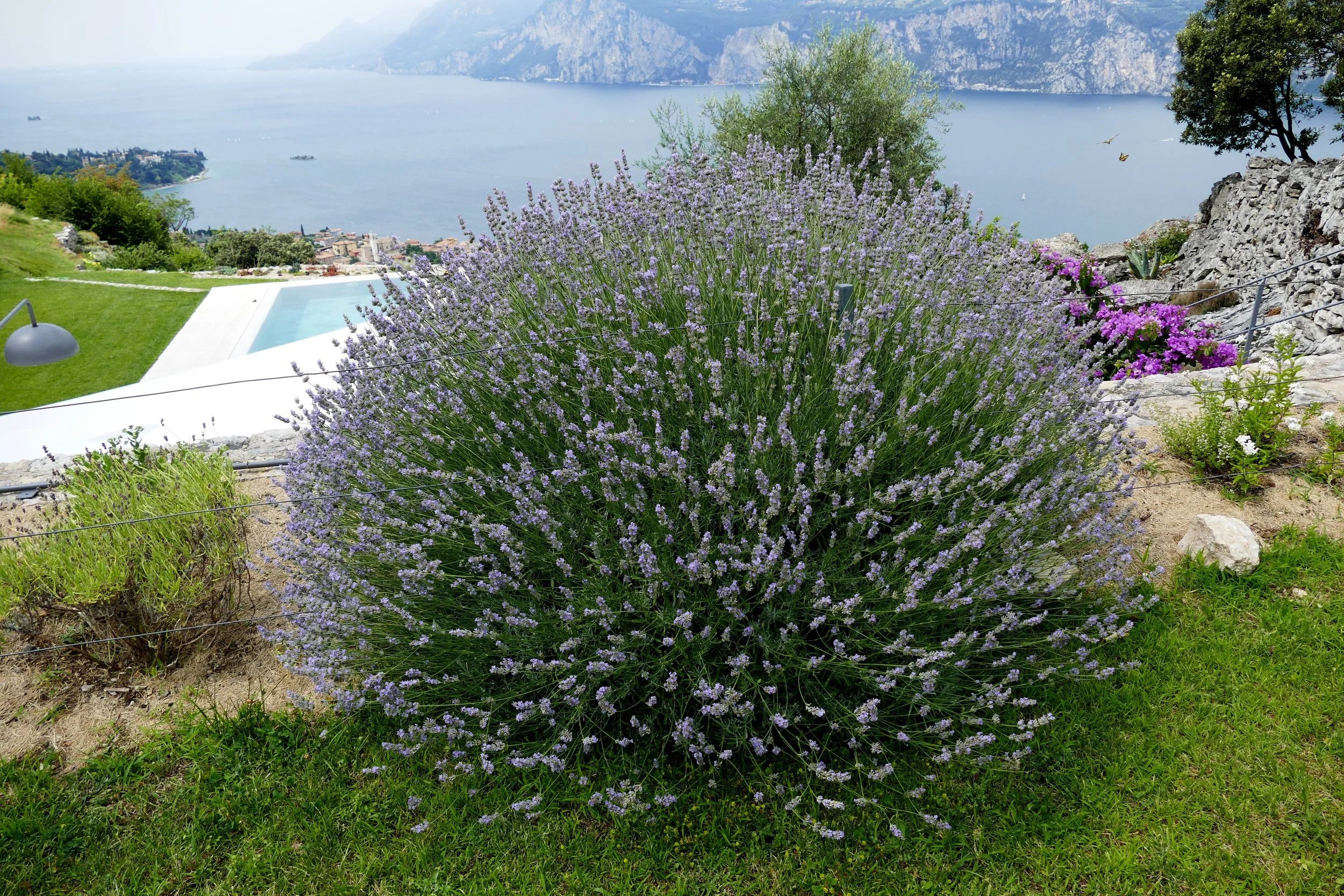 Gardone  07.07. - 13.07.16 1031.JPG