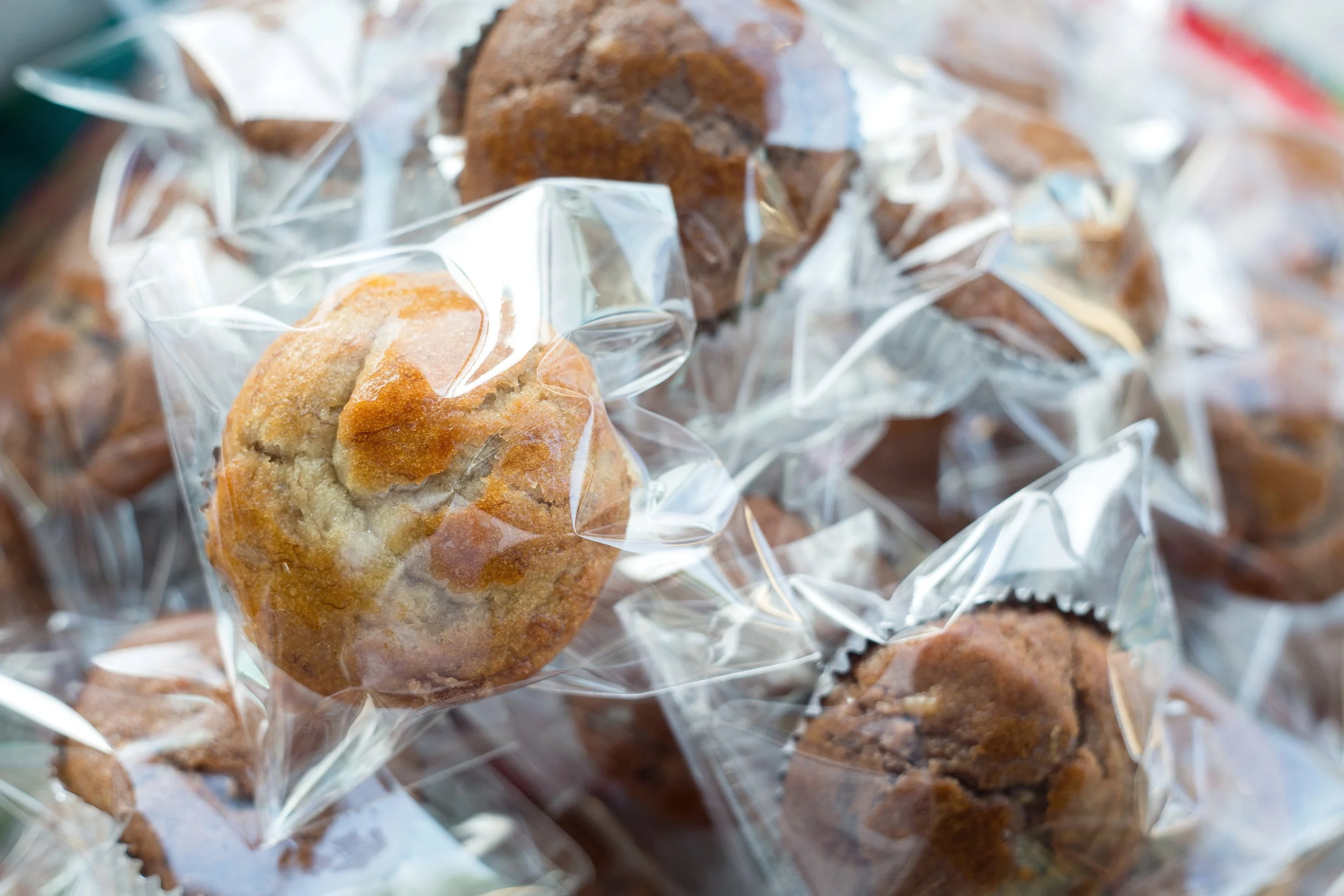 AdobeStock_210380176.jpeg