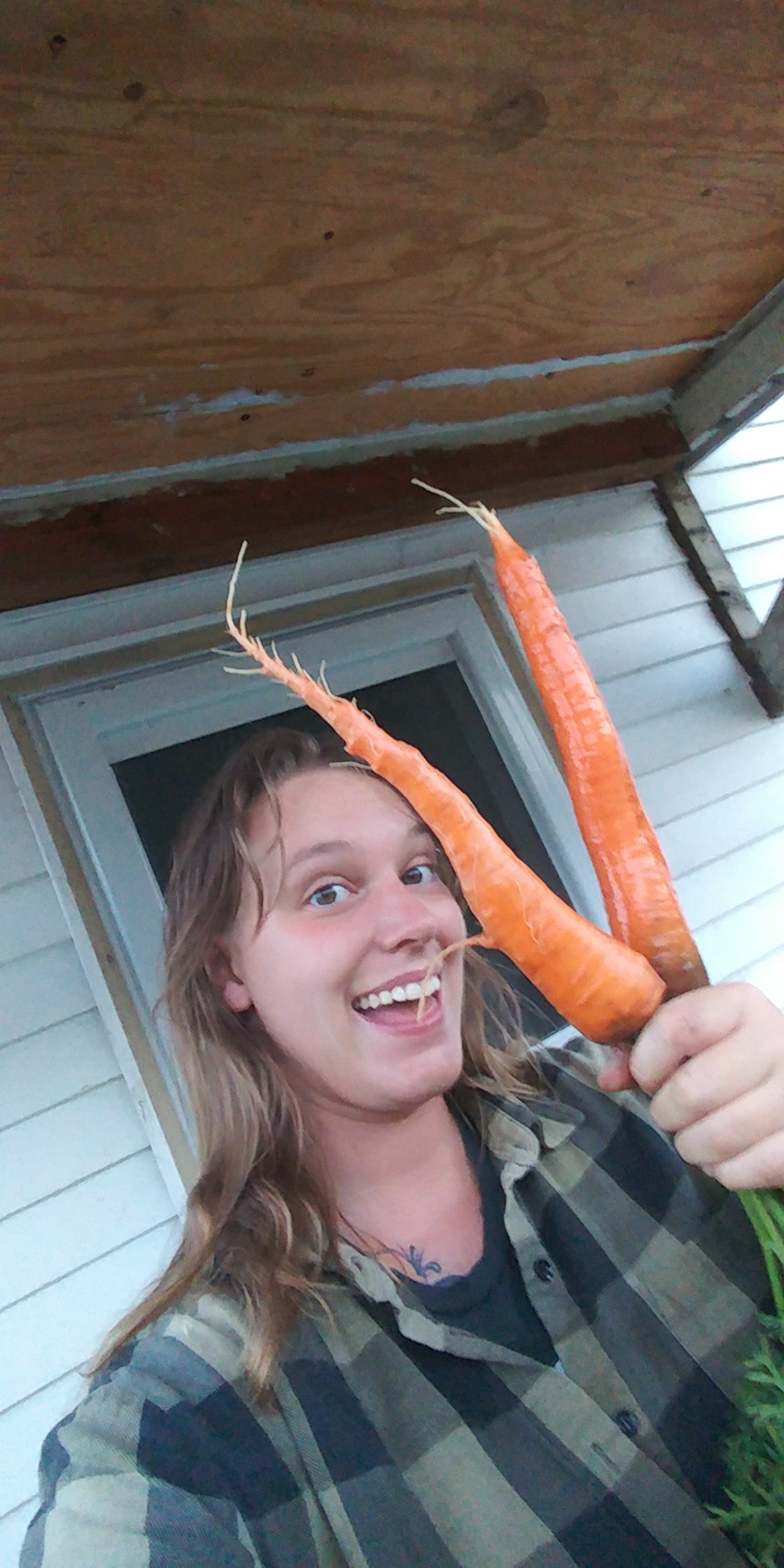 carrot.jpg