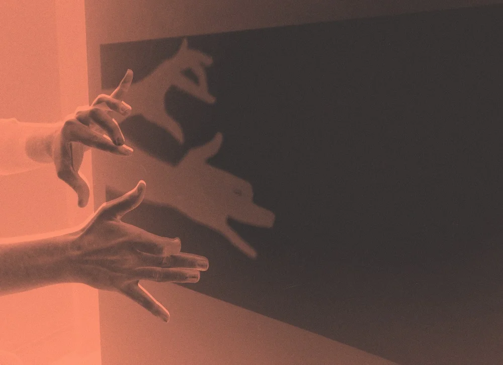 hands-orange-compressed.jpg
